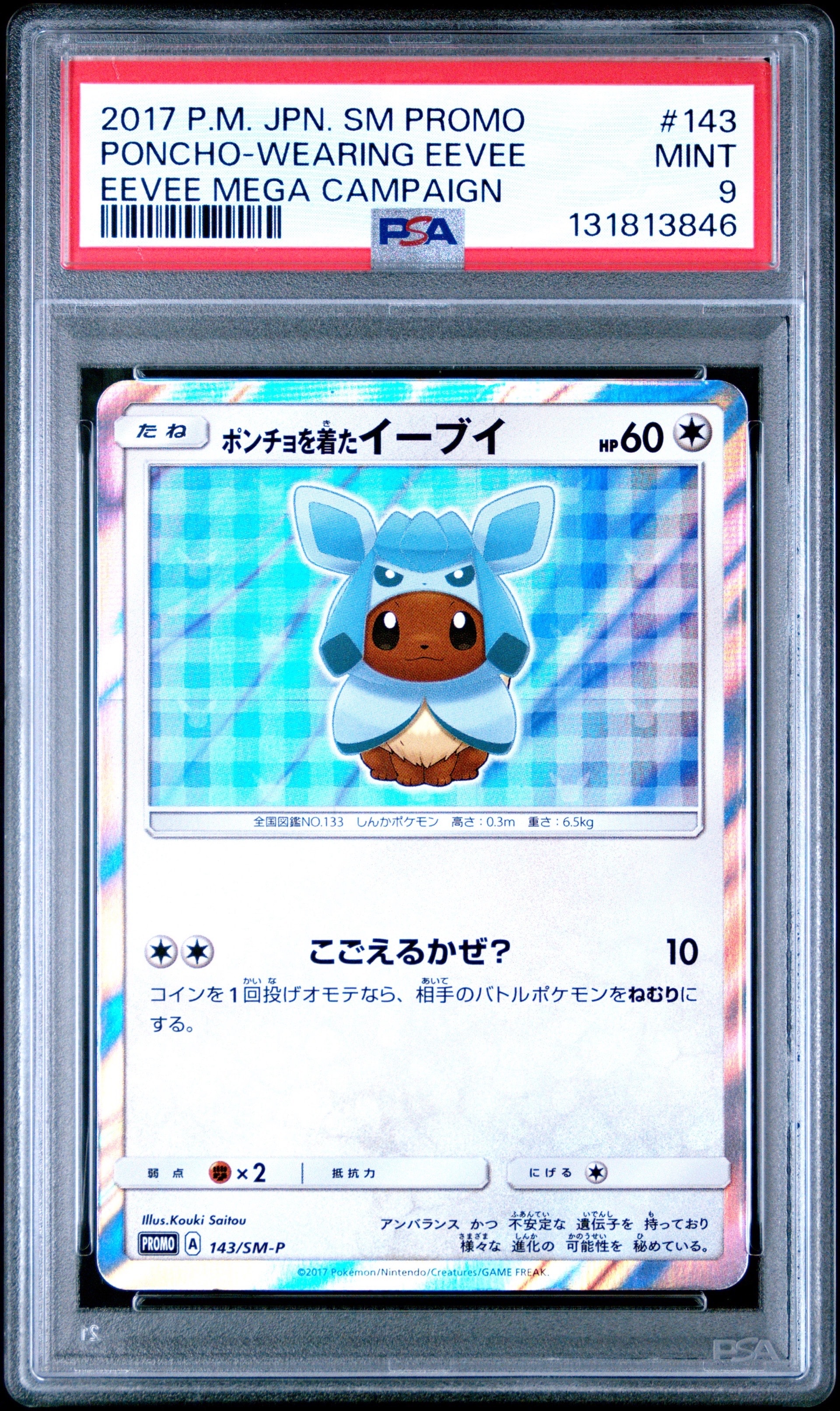 ポンチョを着たイーブイ: プロモ[SM-P 143](プロモーションカード「SM
