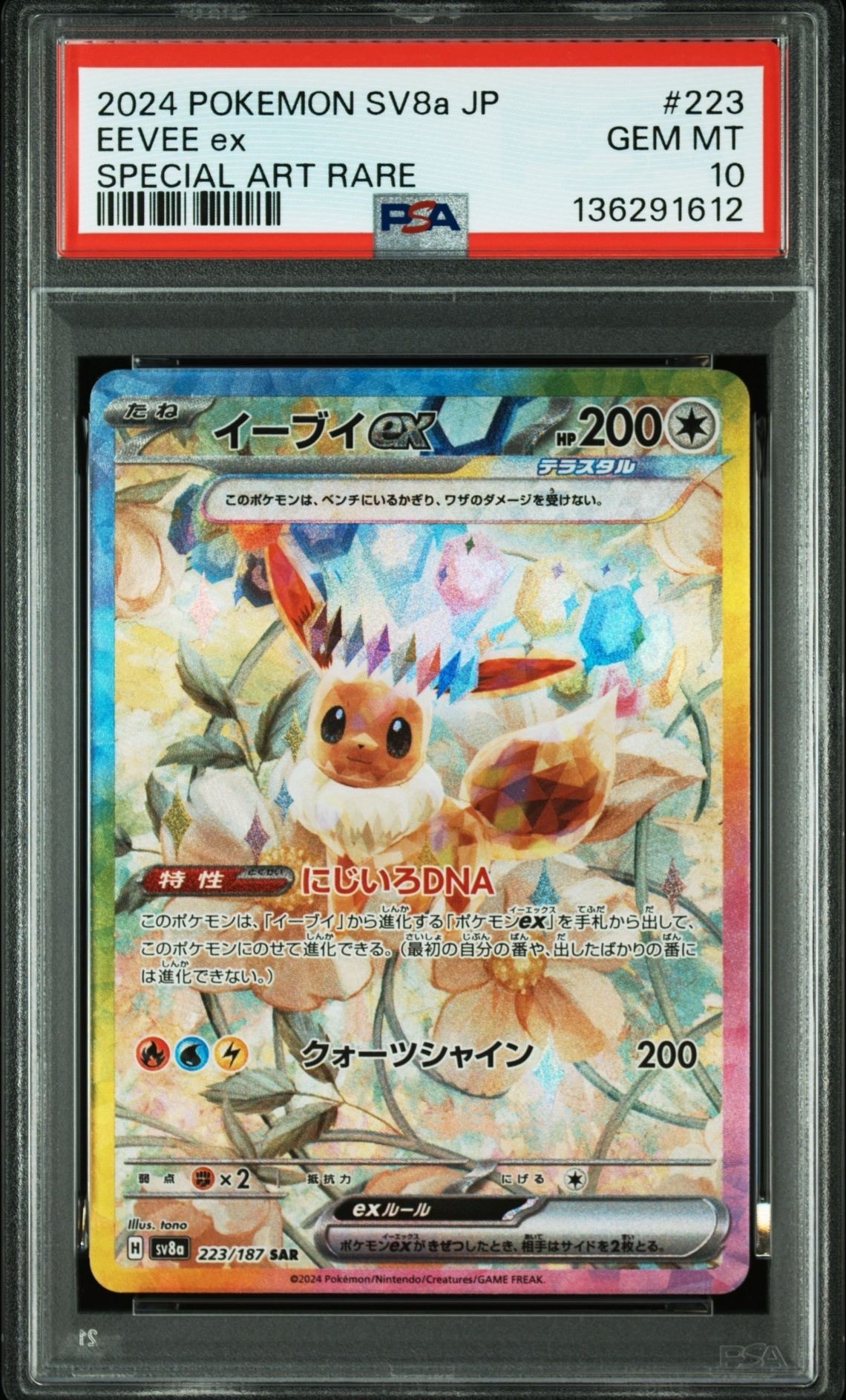 イーブイ サンダース シャワーズ エーフィ 223/187 205/187 ✨緊急強化