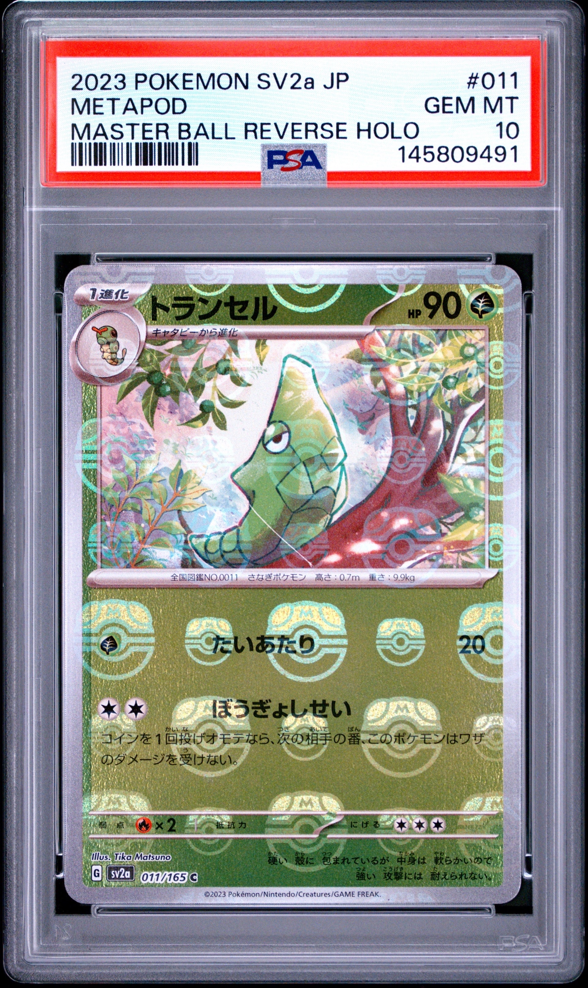 PSA10】ポッチャマ CHR[sm11b 052/049](強化拡張パック「ドリーム