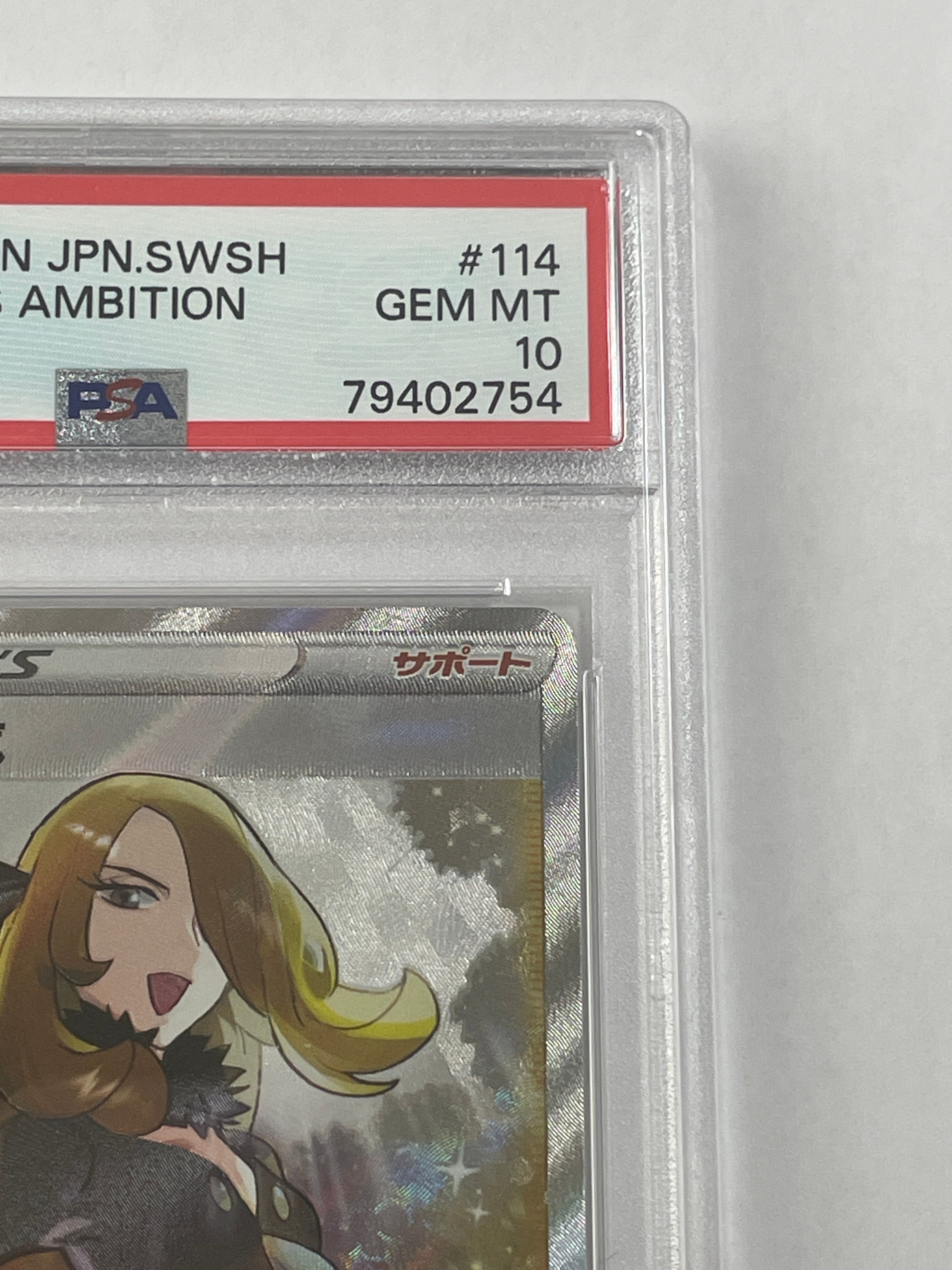 pokemon card binder TopDeck 1000 Card Portfolio