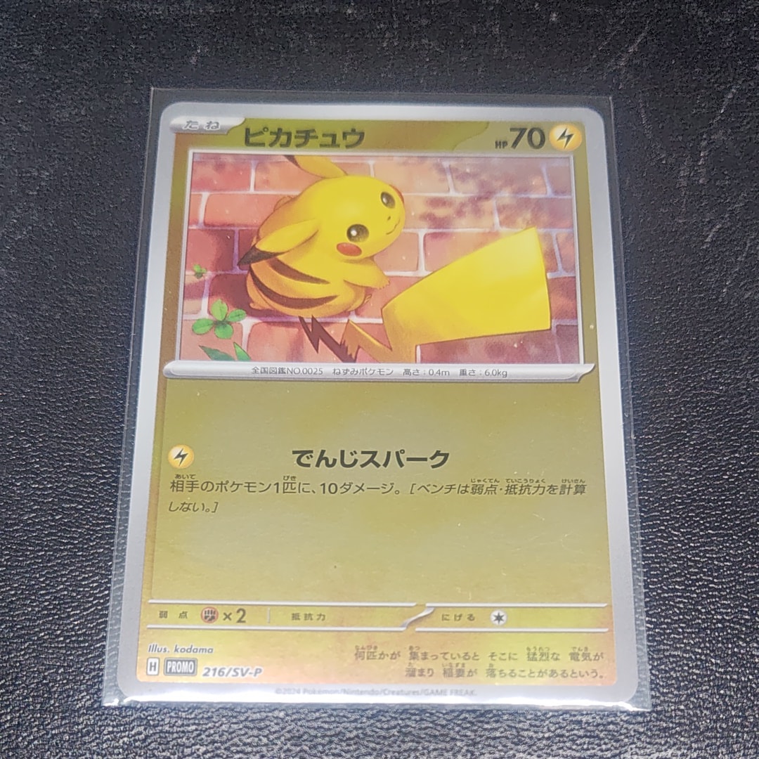 ピカチュウ P [SV-P 216](プロモカードパック「ポケカの夏がキタ!プロモカードGetキャンペーン!」)
