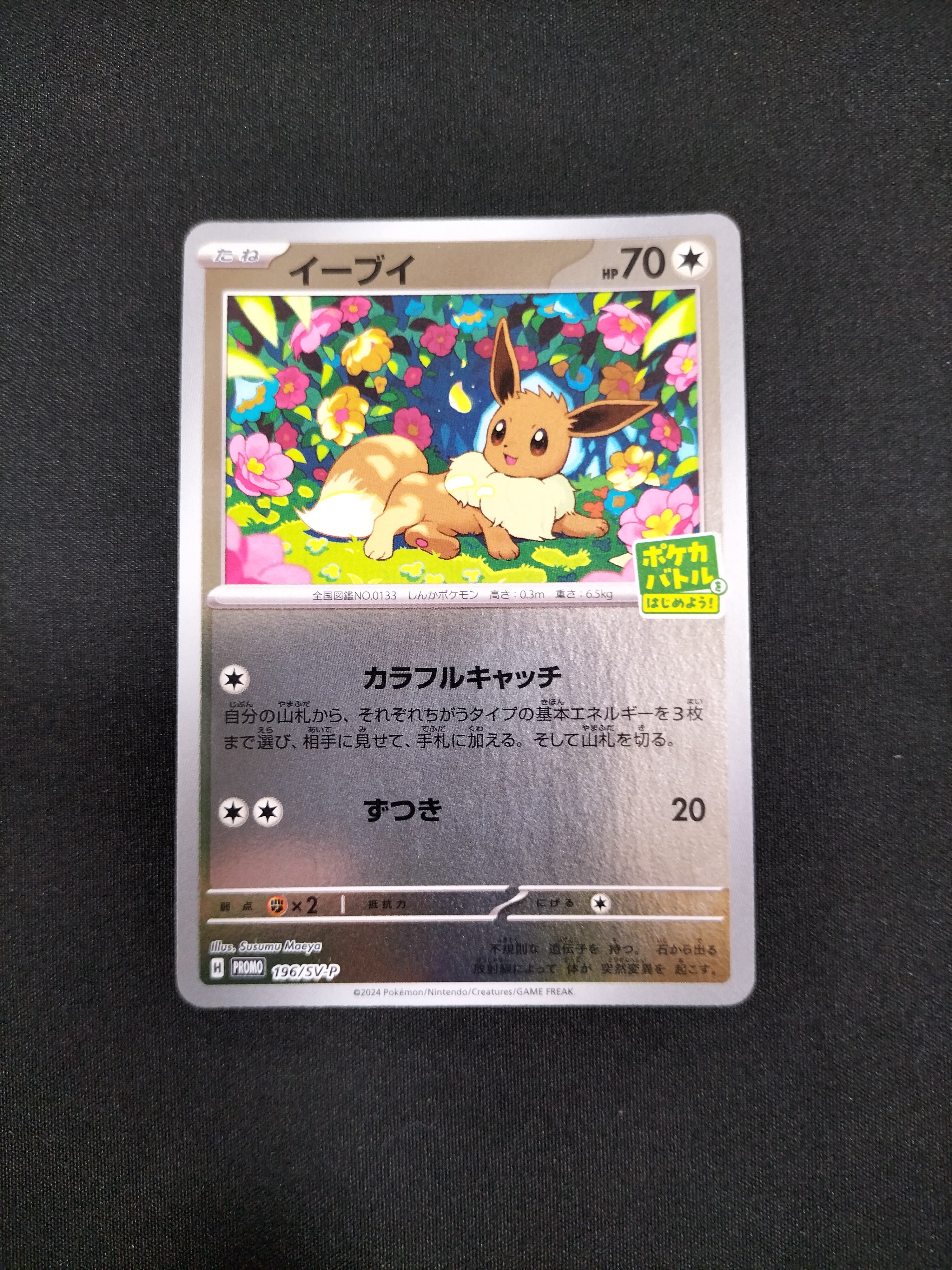 イーブイ P [SV-P-SM 196](プロモカードパック「ポケカバトルをはじめよう!キャンペーン」)