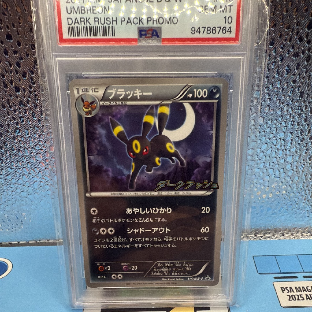 PSA10】ブラッキー P [BW-P 115/BW-P](プロモーションカード「ダーク