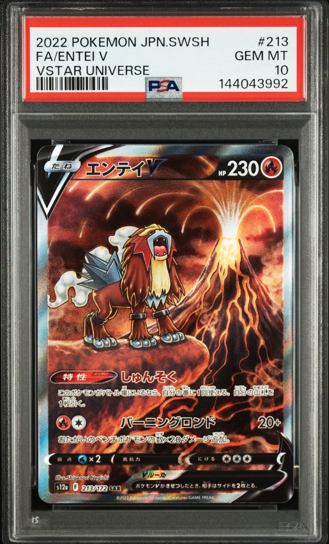 PSA10】エンテイV SAR[s12a 213/172](ハイクラスパック「VSTAR