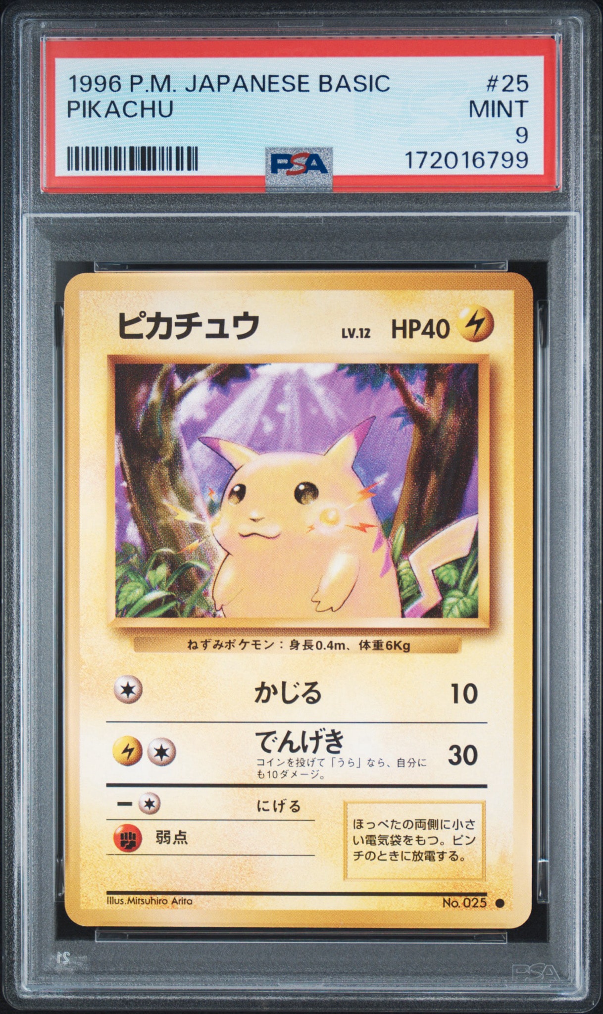 ピカチュウ ○ : 旧裏 [PMCG1-2](拡張パック「ポケットモンスター