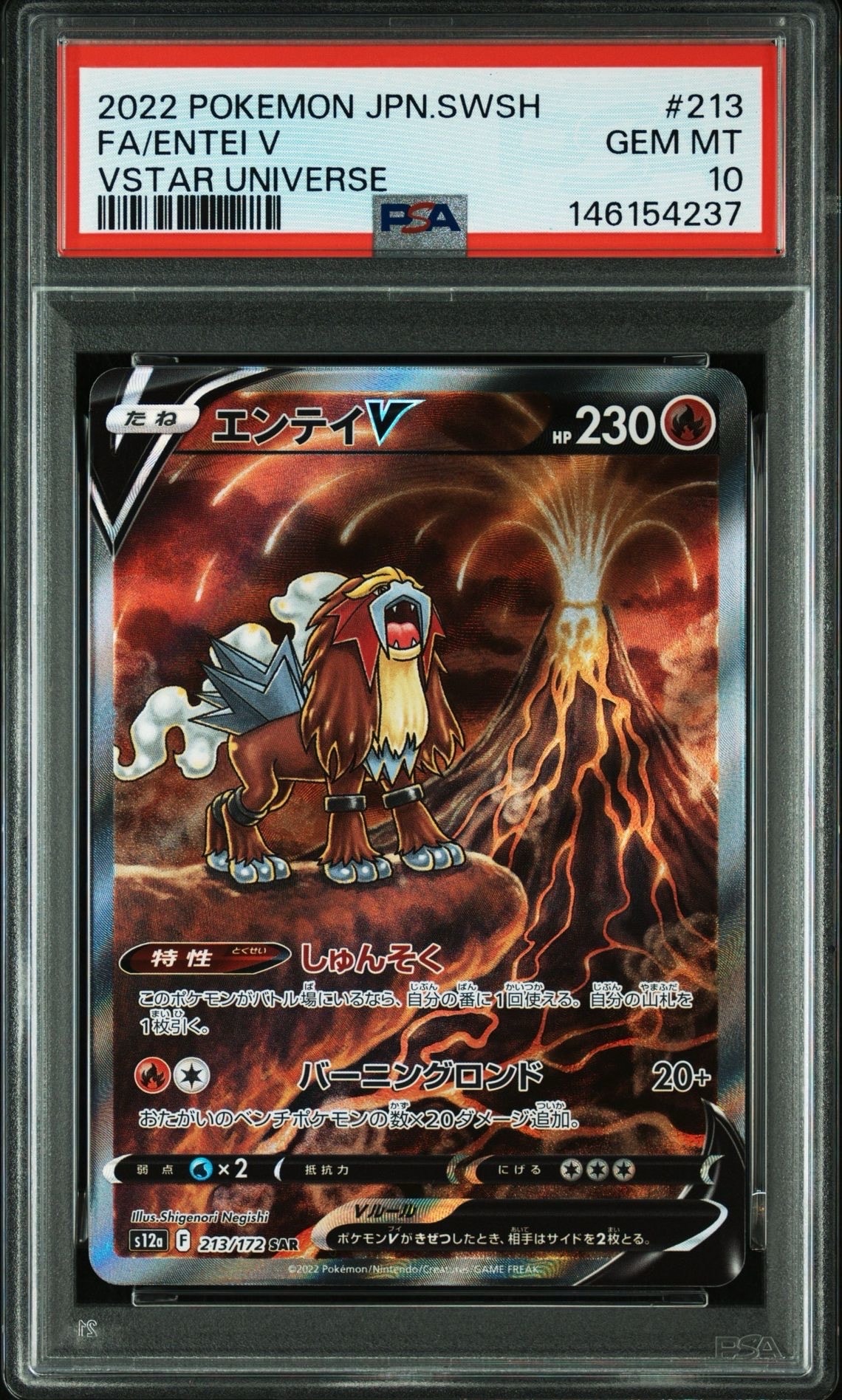 エンテイV SAR[s12a 213/172](ハイクラスパック「VSTARユニバース」)