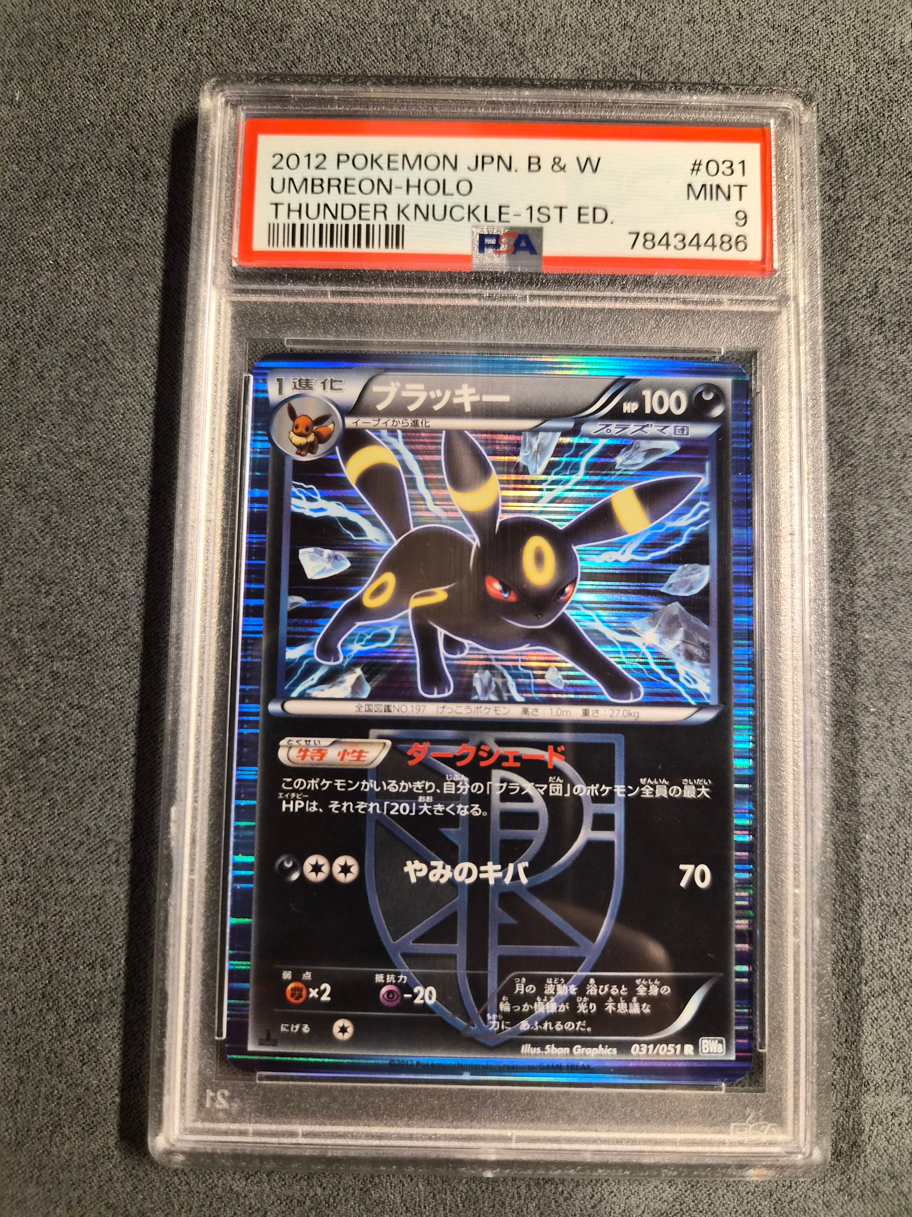 PSA10】ブラッキー R[BW8-K 031/051](拡張パック「ライデンナックル