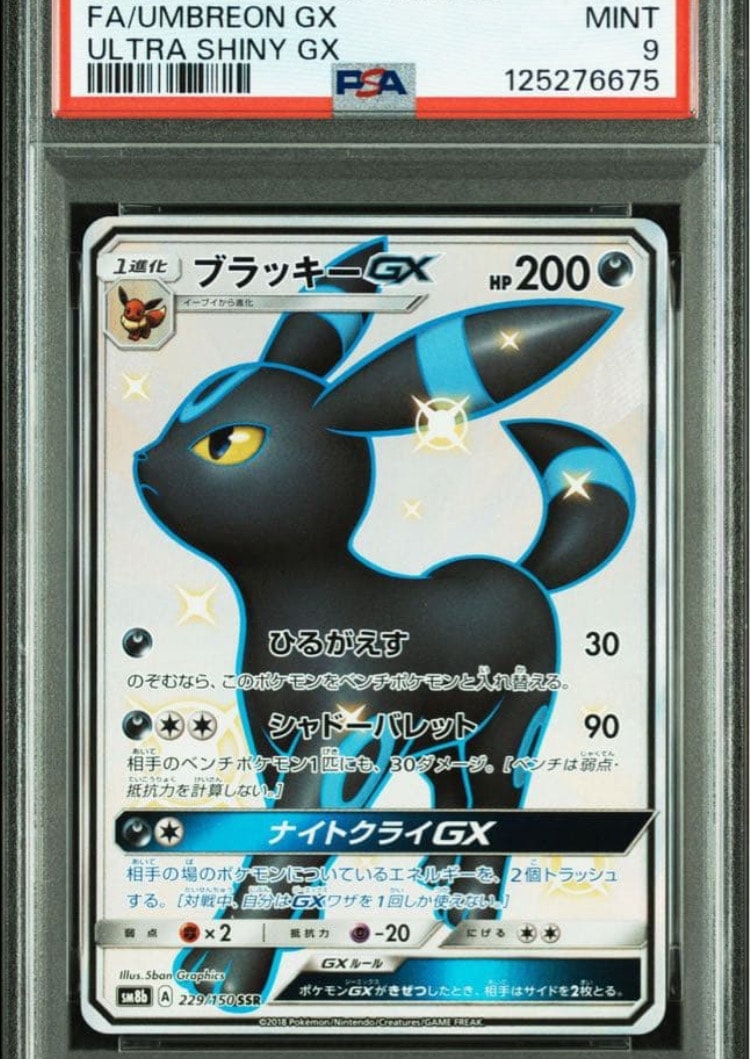 PSA10】ブラッキーGX SSR[SM8b 229/150](ハイクラスパック「GXウルトラ