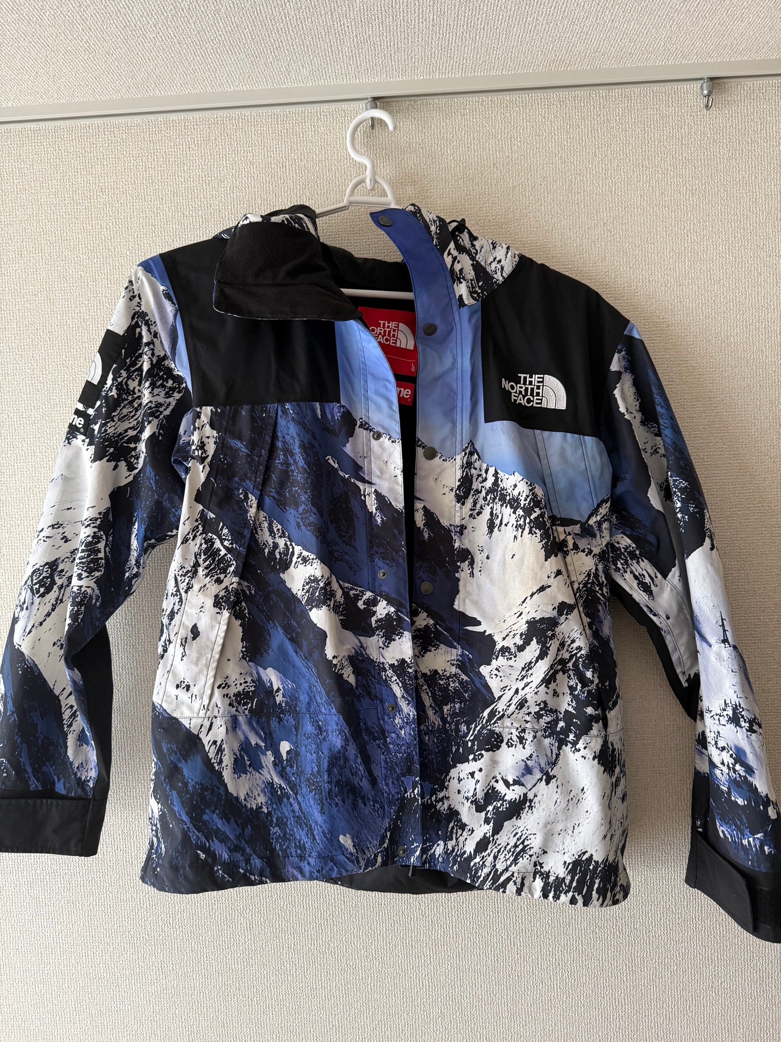 Supreme x The North Face Mountain Parka 