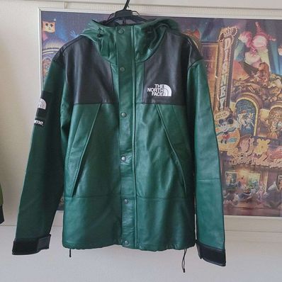 Supreme x The North Face Leather Mountain Parka "Green"