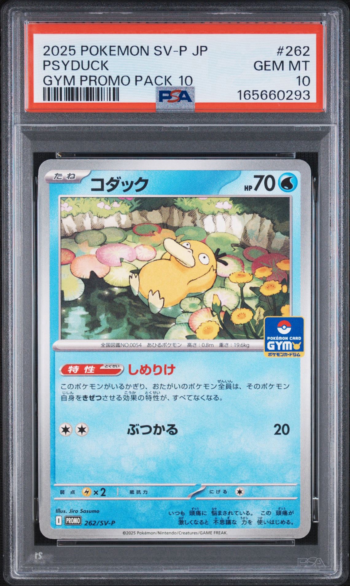 コダック P [SV-P 262](プロモカードパック「第10弾」)