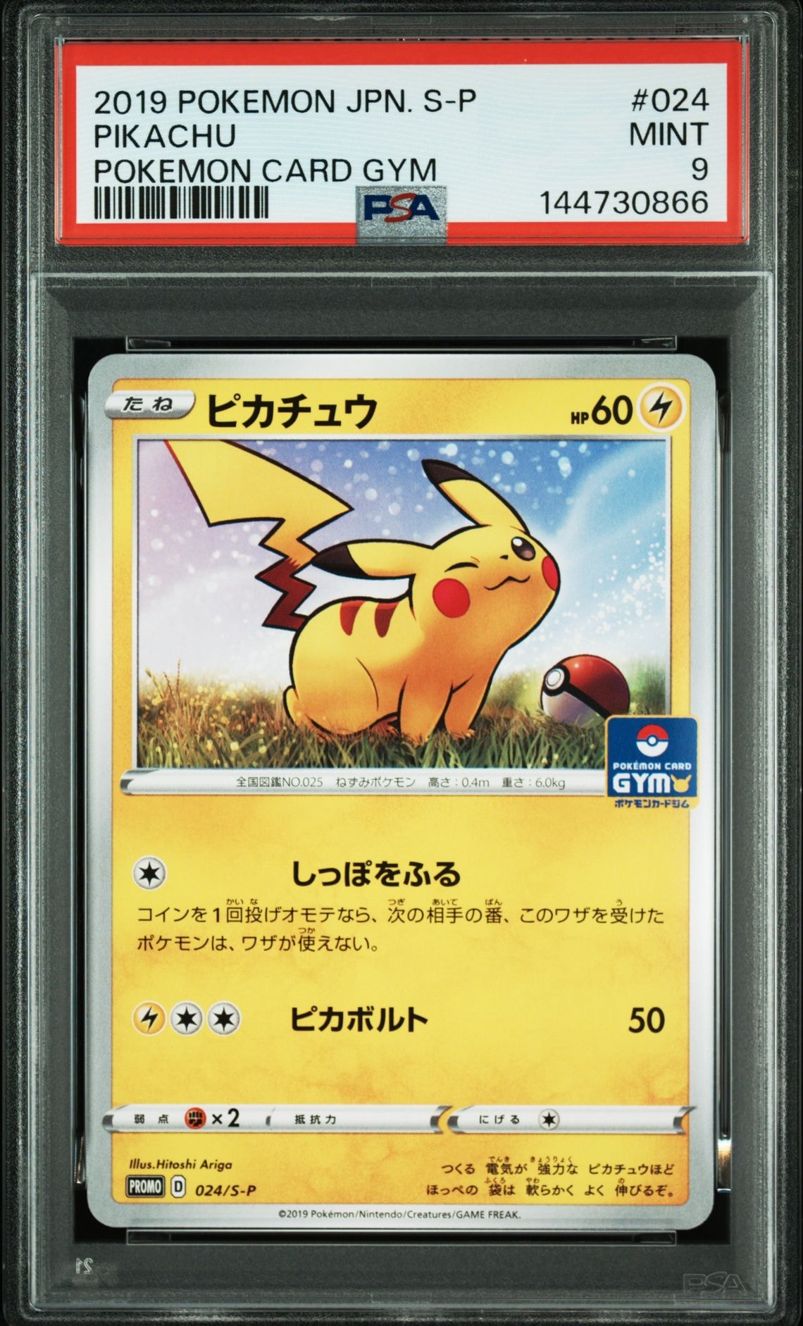 ピカチュウ: プロモ P [S-P 024](ポケモンカードゲーム ソード&シールド 「プロモカードパック 第1弾」)