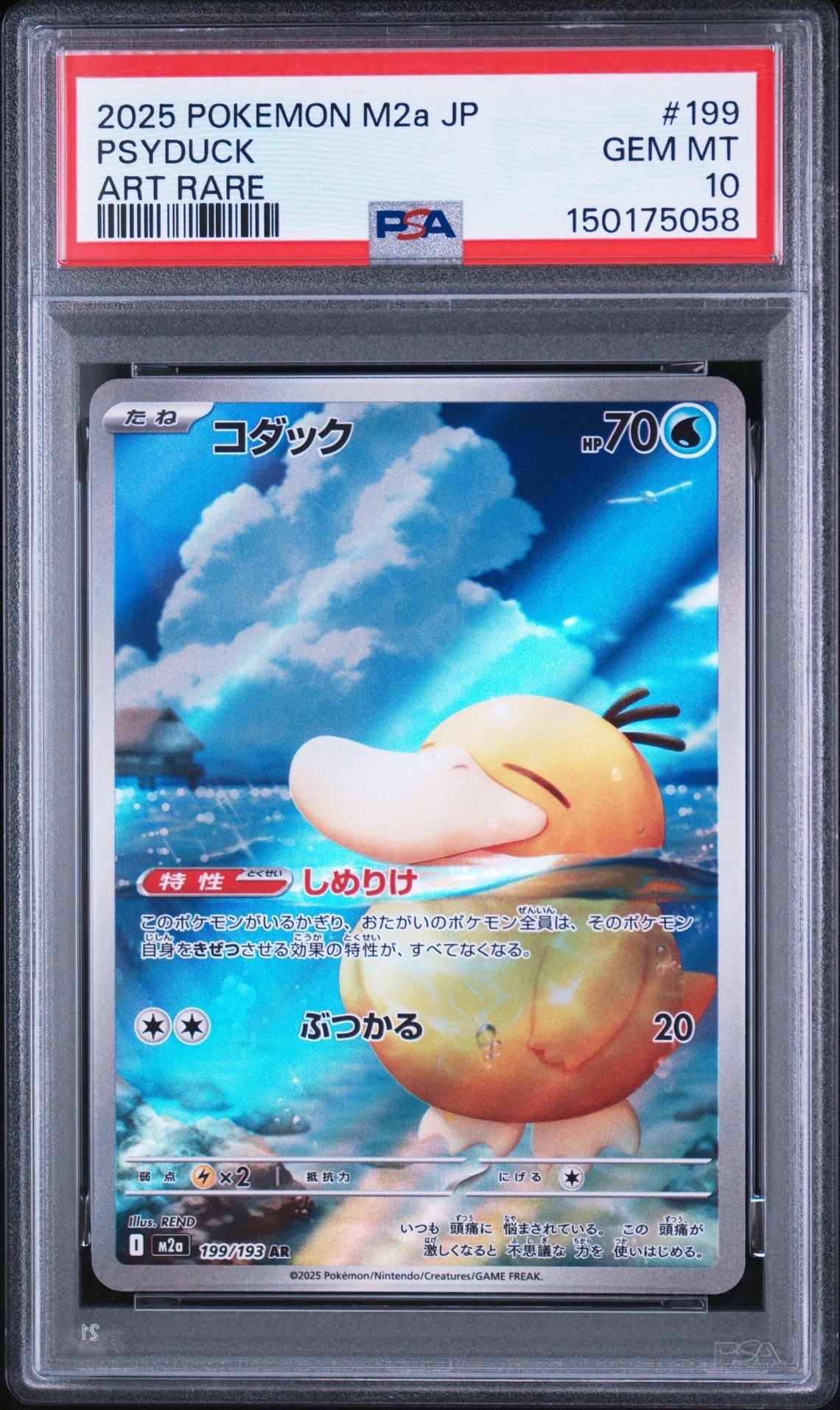 コダック AR [M2a 199/193](ハイクラスパック「MEGAドリームex」)の