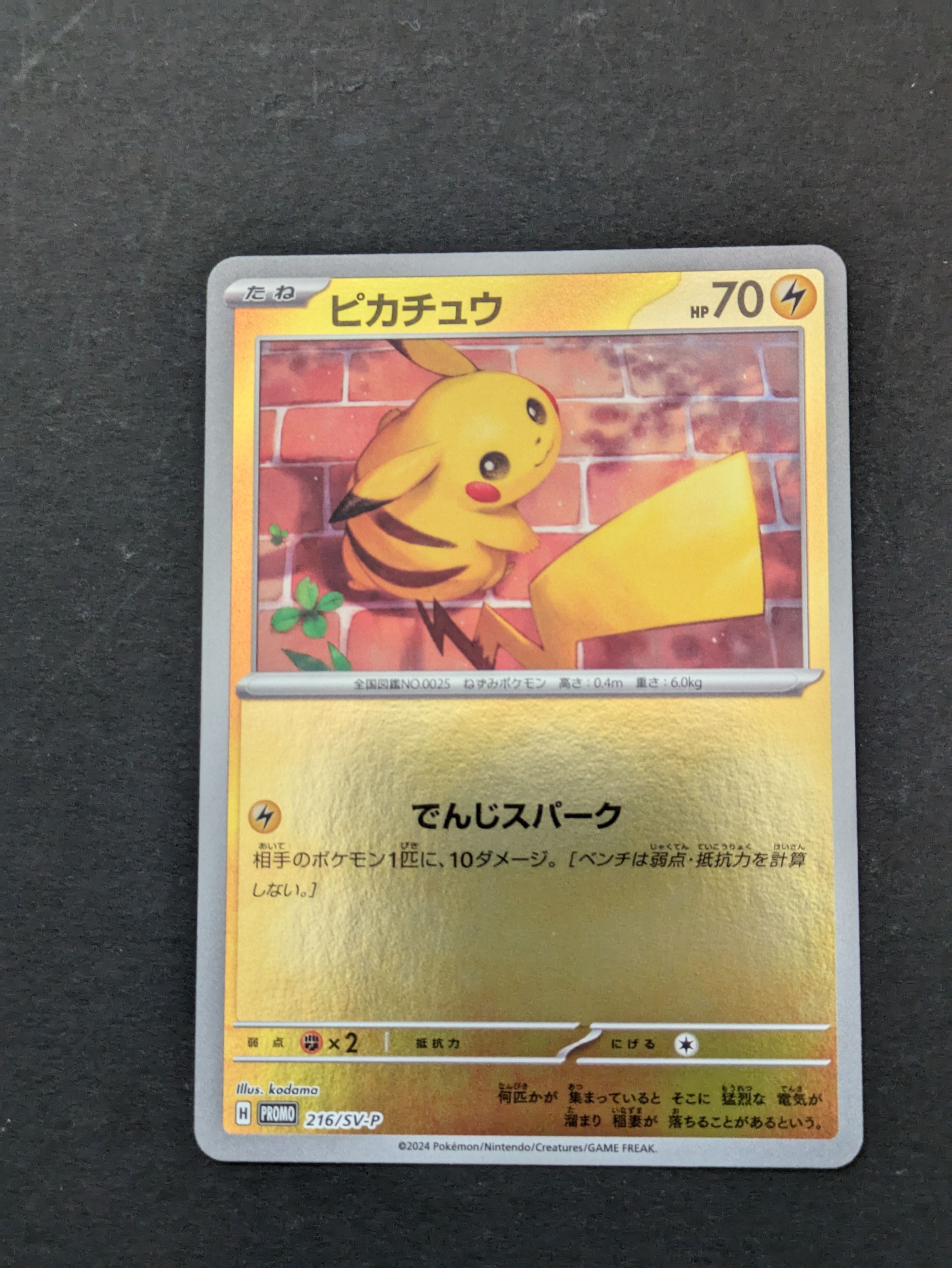 ピカチュウ P [SV-P 216](プロモカードパック「ポケカの夏がキタ!プロモカードGetキャンペーン!」)