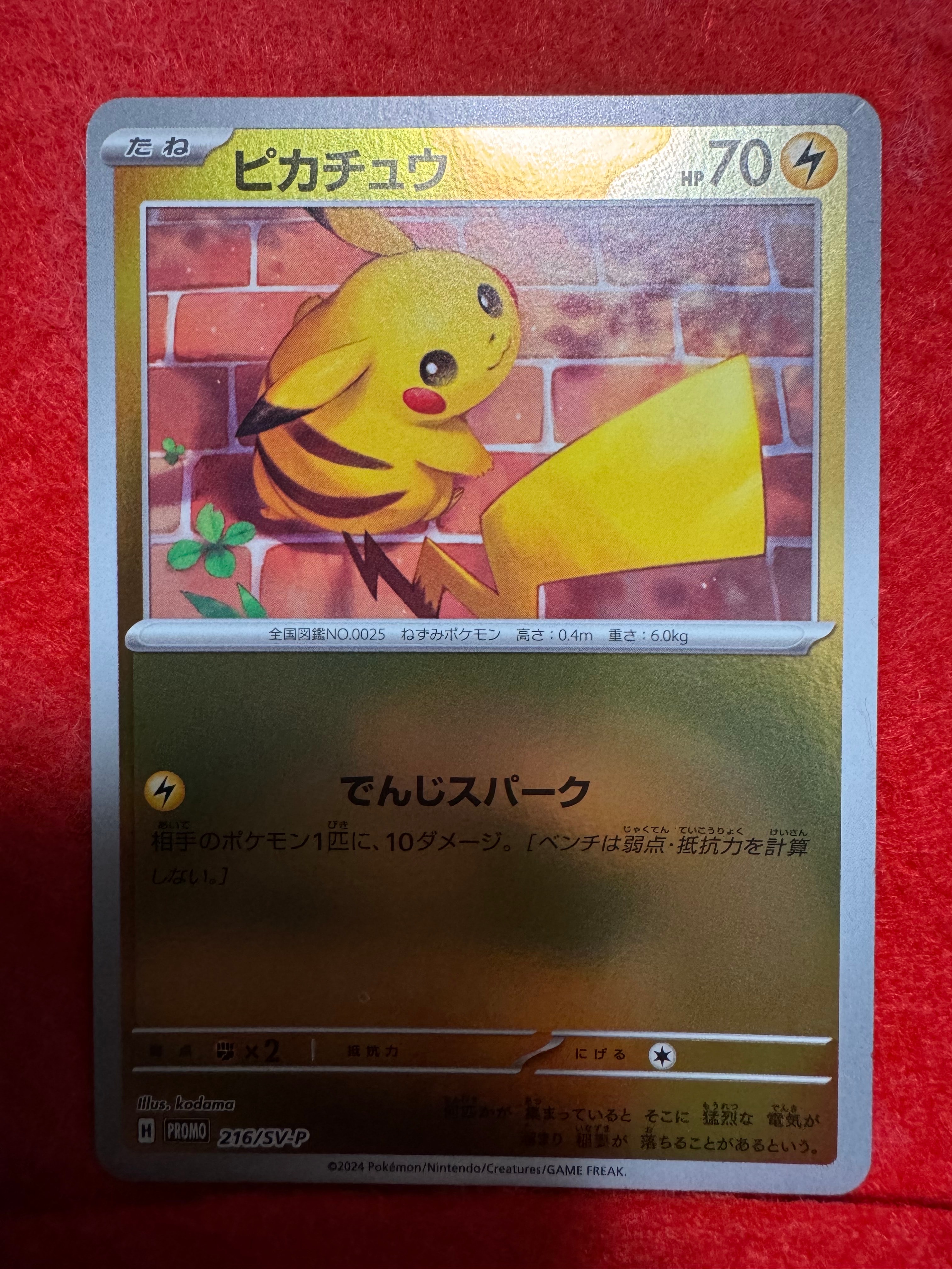 ピカチュウ P [SV-P 216](プロモカードパック「ポケカの夏がキタ