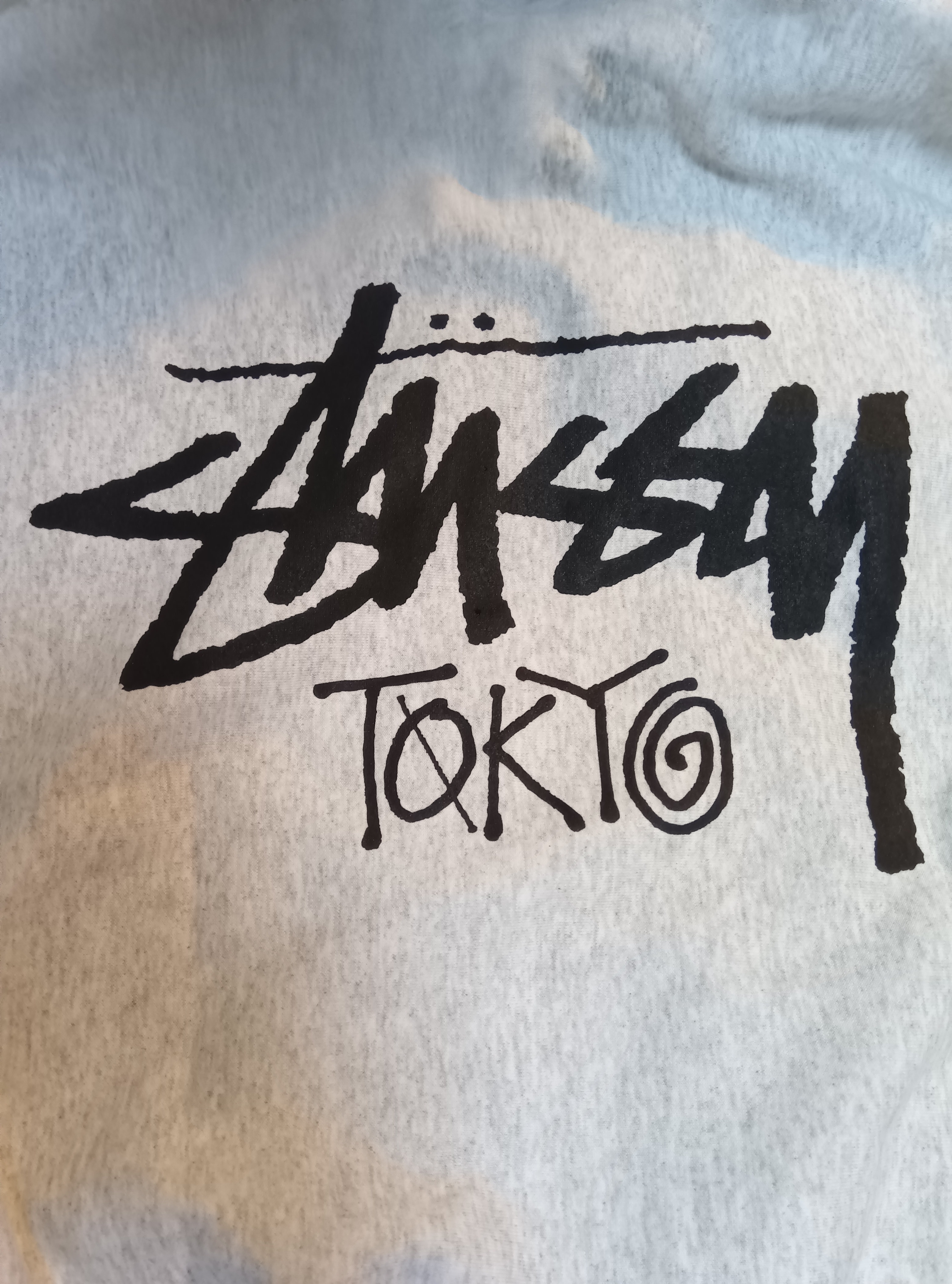 Stussy Tokyo Exclusive Zip Hoodie (2025) 25S3973987/25F3973987 "Ash Grey"