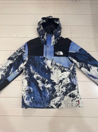 Supreme x The North Face Mountain Parka "Blue"