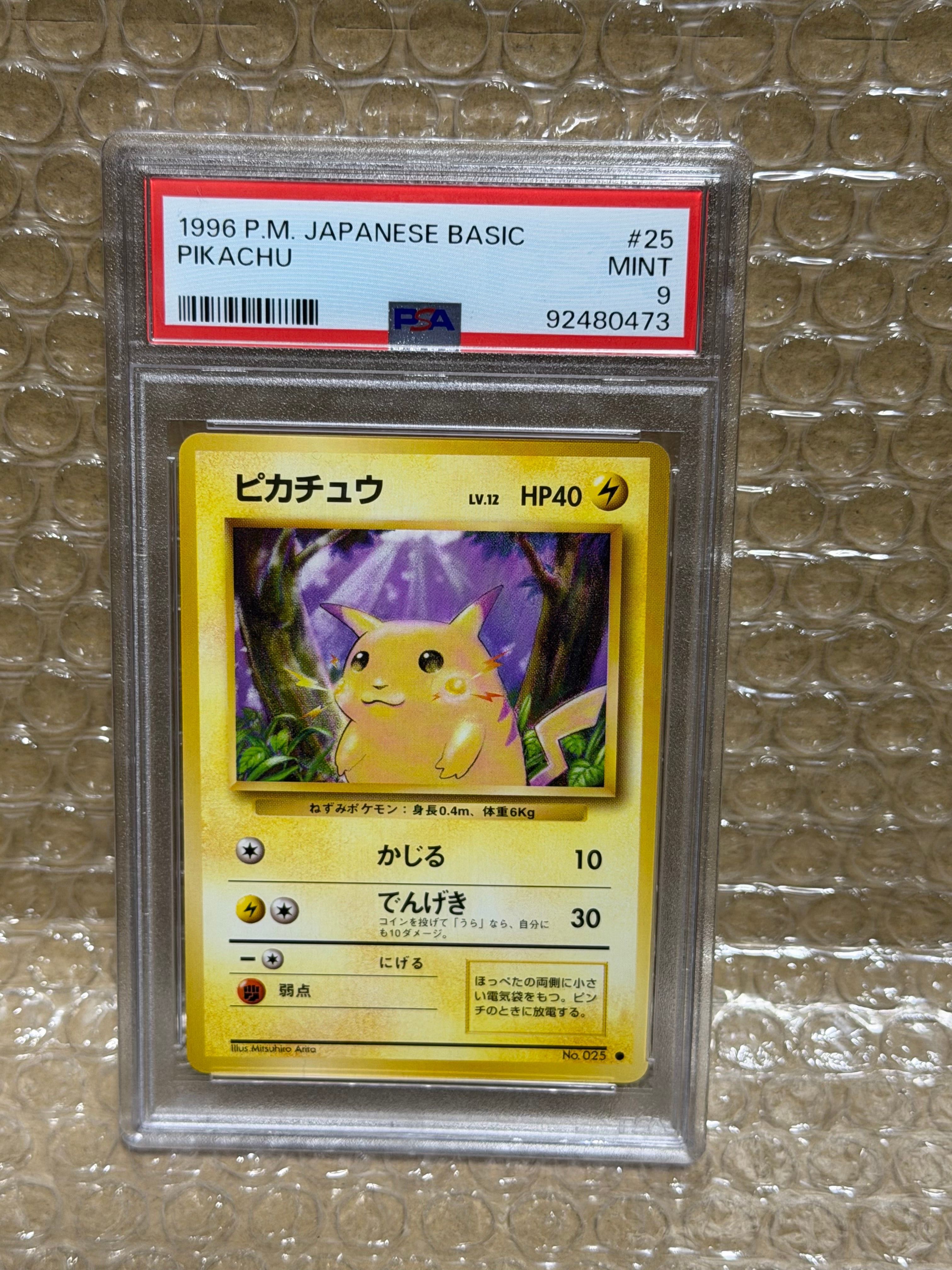 ピカチュウ ● : 旧裏 [PMCG1-2](拡張パック「ポケットモンスター カードゲーム」再販)