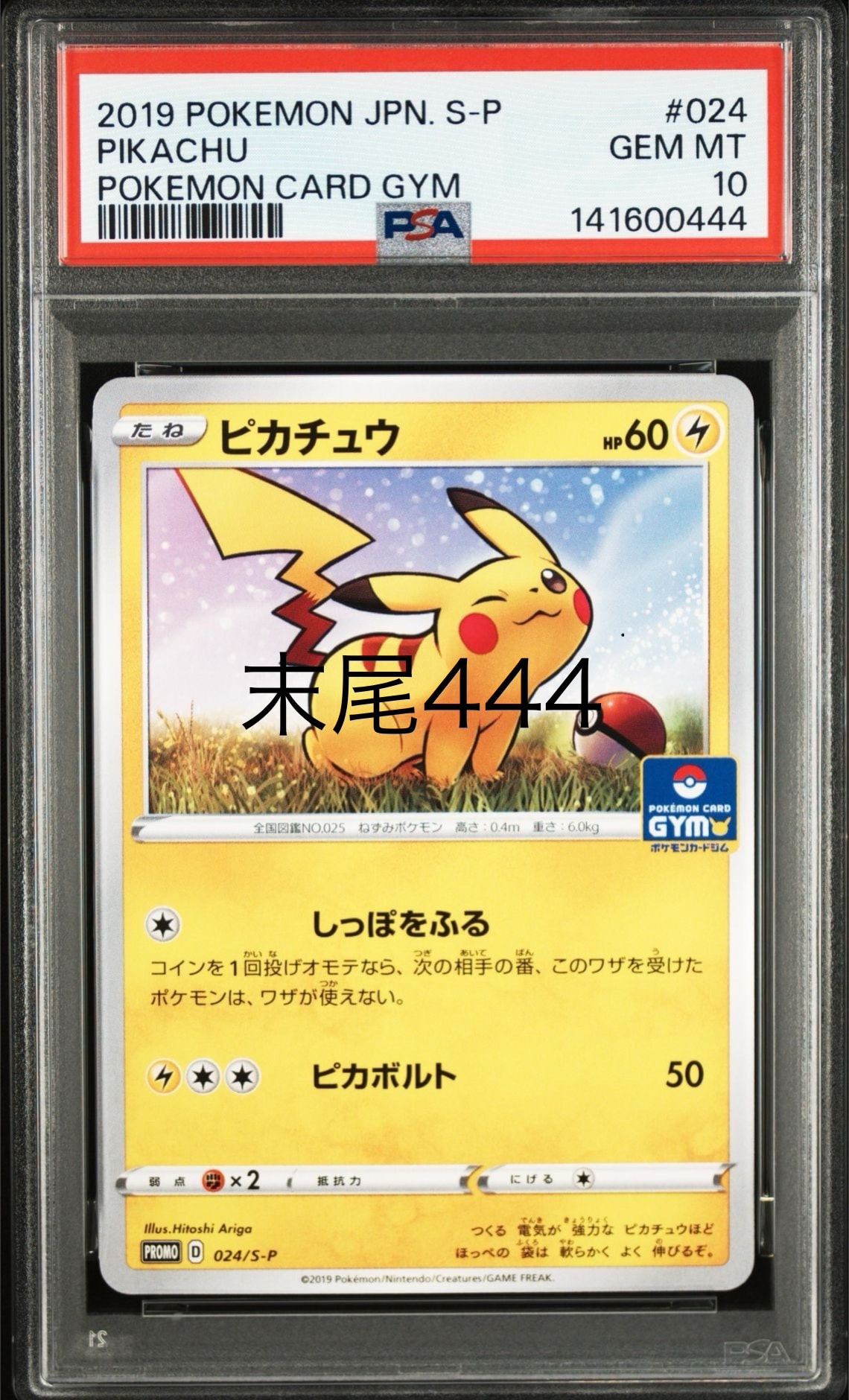 ピカチュウ: プロモ P [S-P 024](ポケモンカードゲーム ソード&シールド 「プロモカードパック 第1弾」)