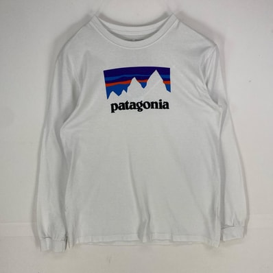 古着 パタゴニア patagonia 長袖Tシャツ クルーネック アウトドア ロングスリーブ M ホワイト系 プリント メンズ