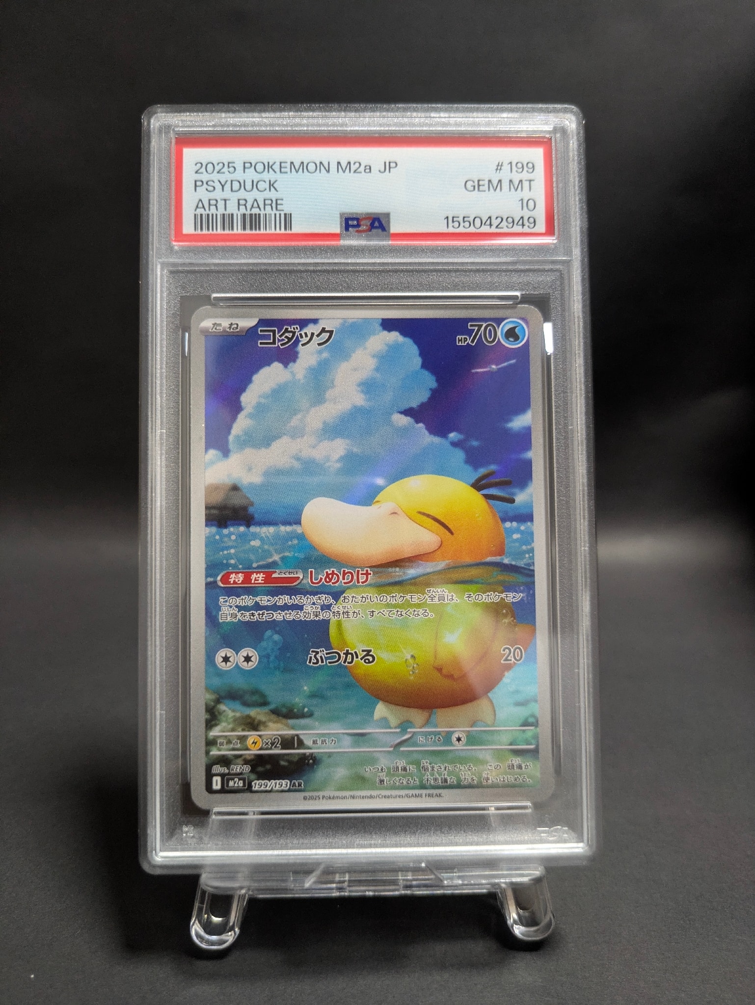 コダック AR [M2a 199/193](ハイクラスパック「MEGAドリームex」)通販