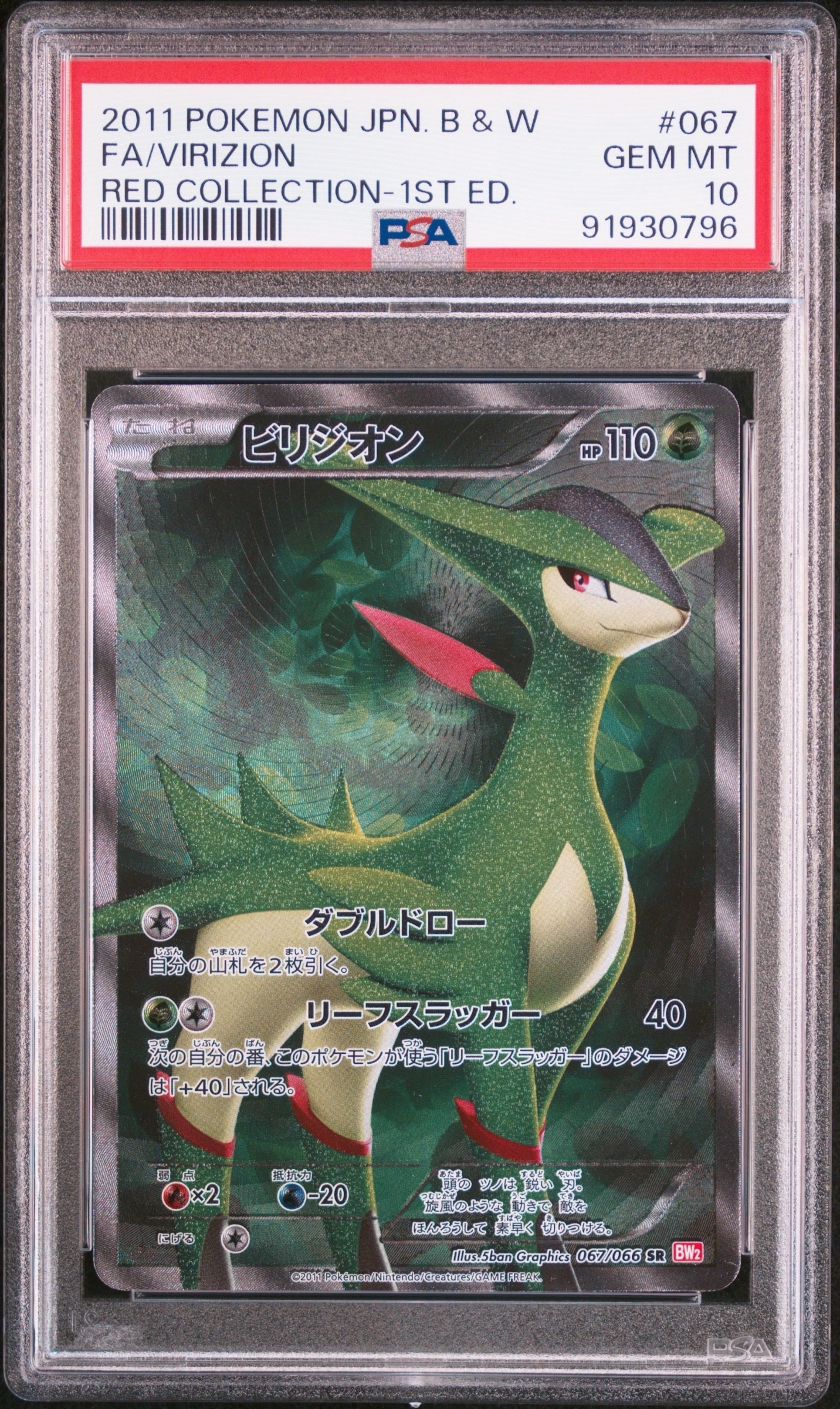 センパイとコウハイ SR :1ED [XY5-G 077/070](拡張パック「ガイア