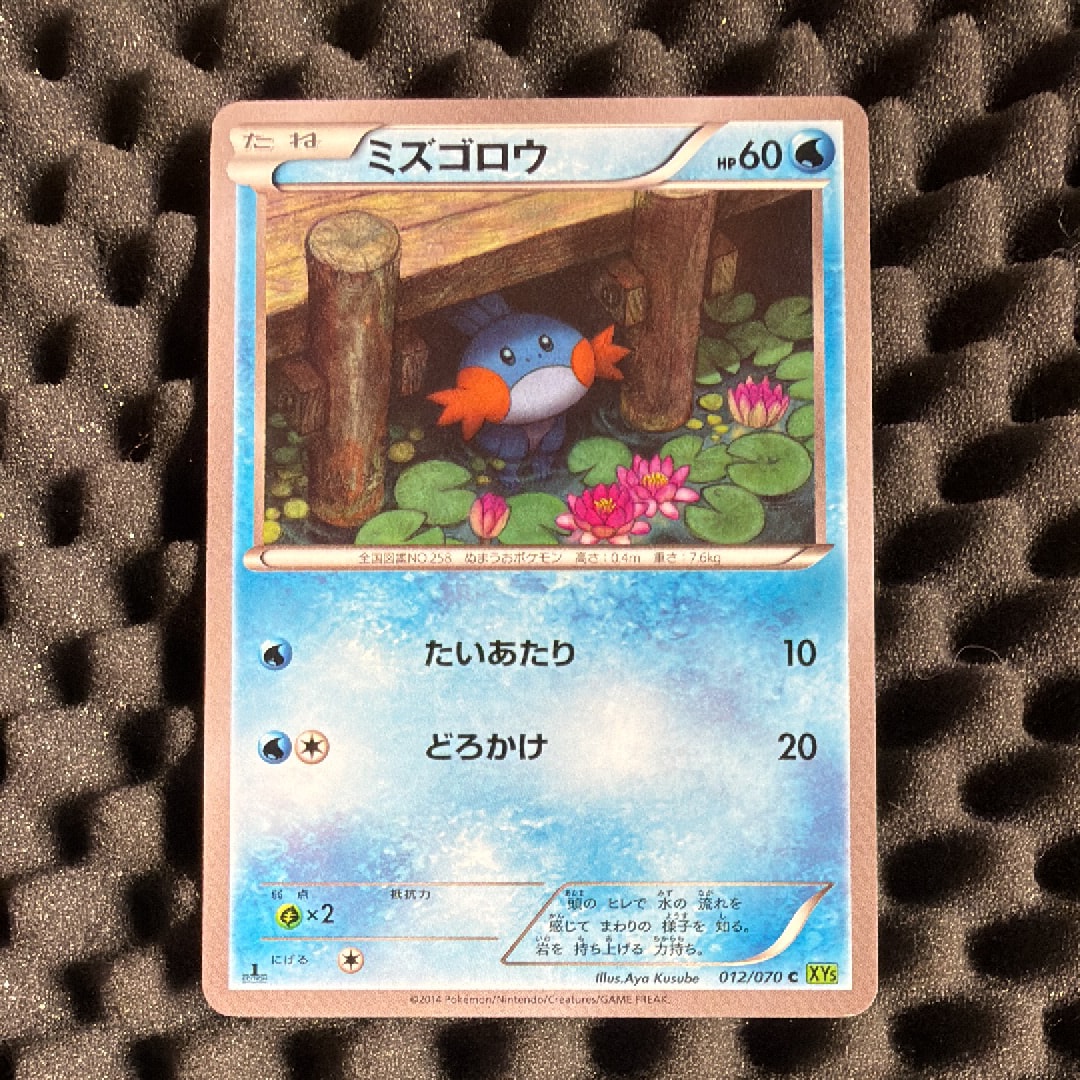 ミズゴロウ C :1ED [XY5 012/070](拡張パック「タイダルストーム