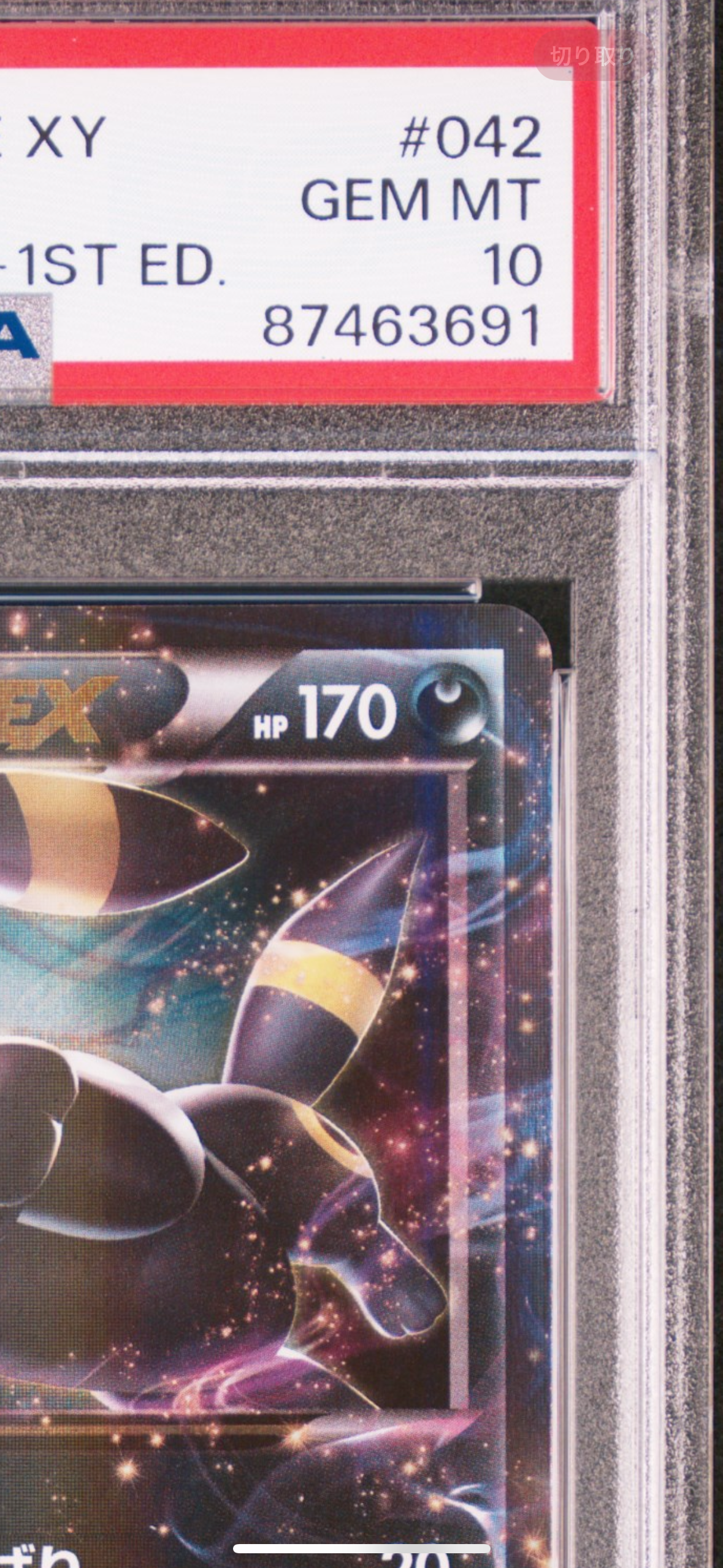 ブラッキーex RR 042/078 PSA10 めざめる超王 xy