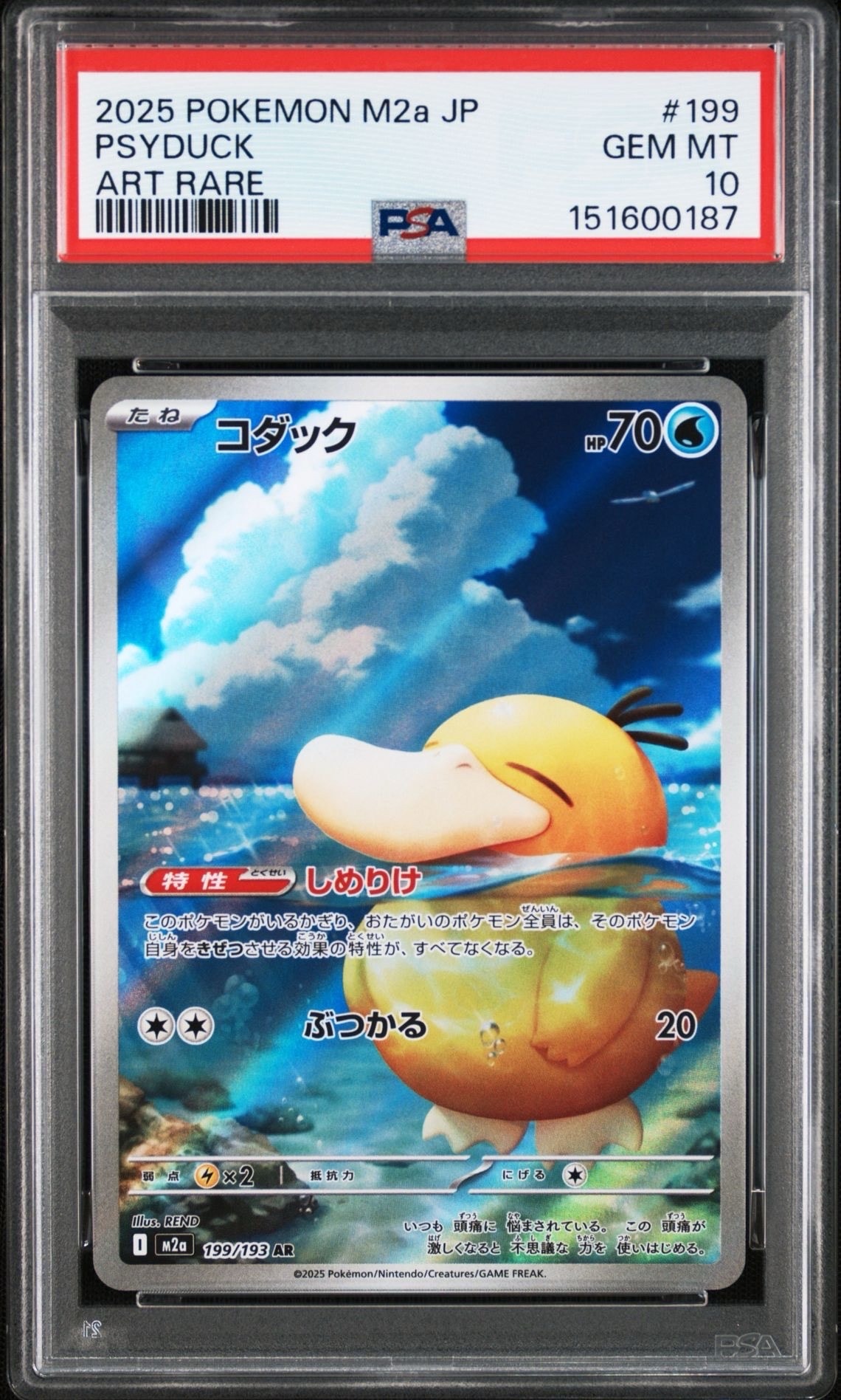 イーブイ P [BW-P 189/BW-P](プロモーションカード「コレクション