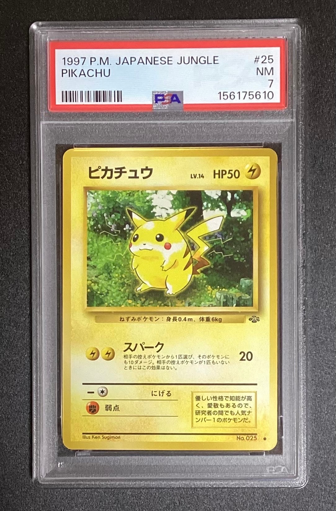 ピカチュウ ● : 旧裏 [PMCG2 No.025](拡張パック「ポケモンジャングル」)