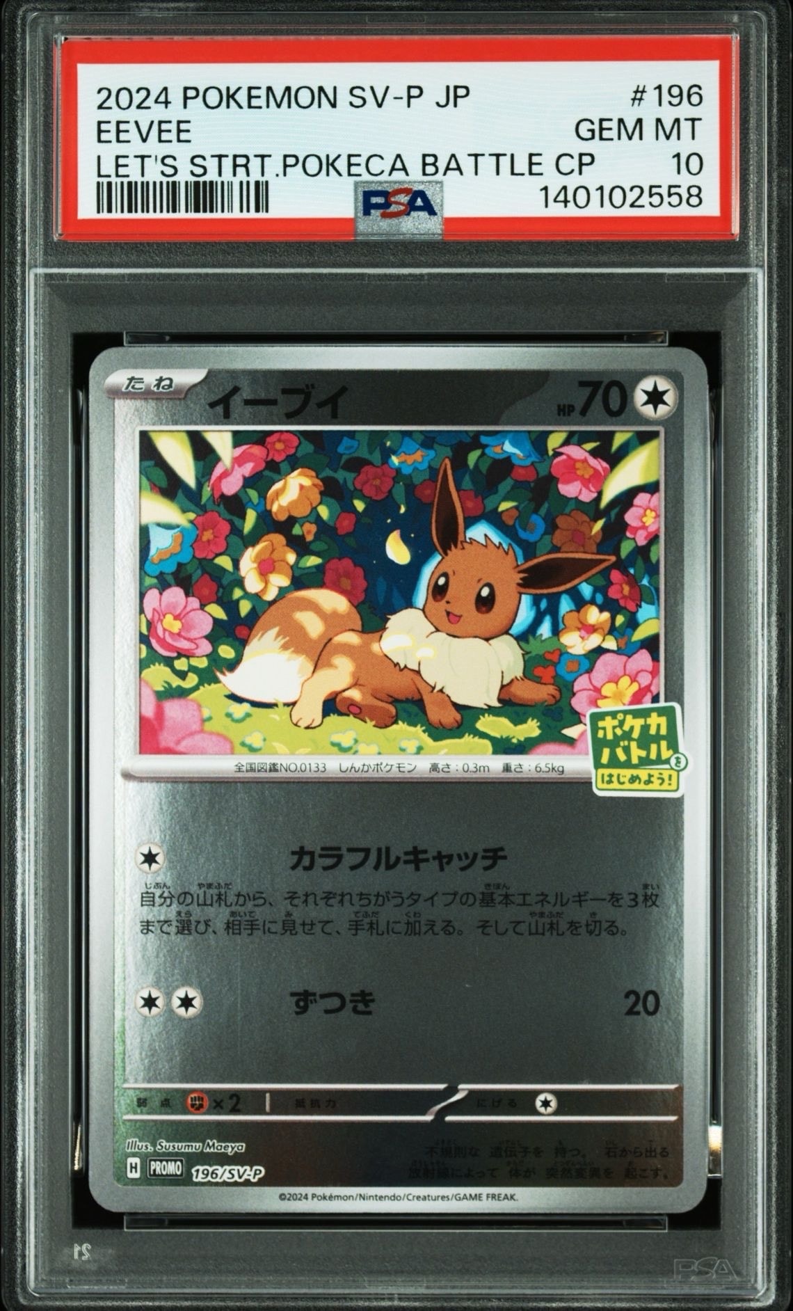 イーブイ P [SV-P-SM 196](プロモカードパック「ポケカバトルをはじめよう!キャンペーン」)