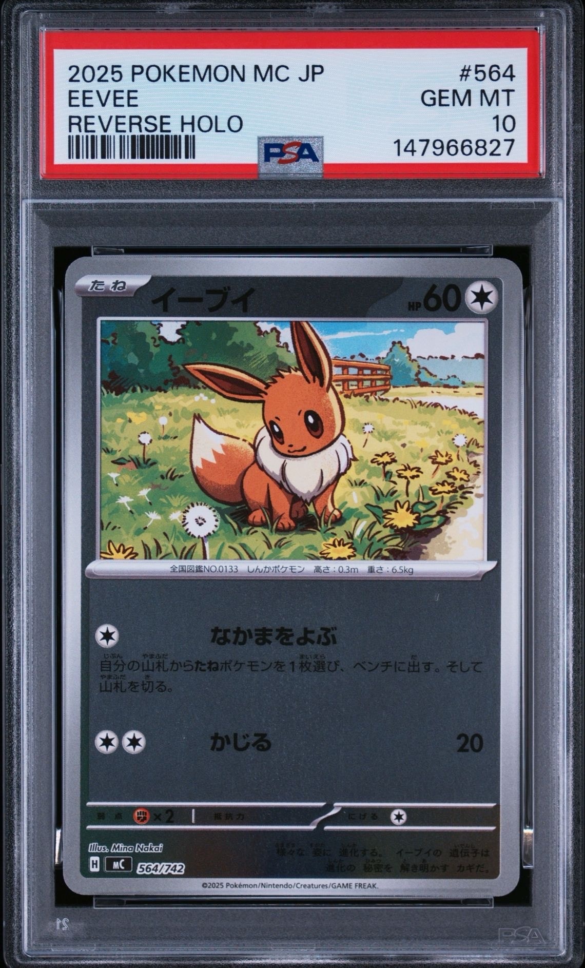 PSA10】イーブイ :ミラー [MC 564/742](スタートデッキ100「バトル