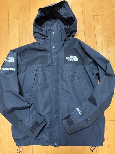 Supreme x The North Face Arc Logo Mountain Parka "Black" NP11901I / NF0A3VMM