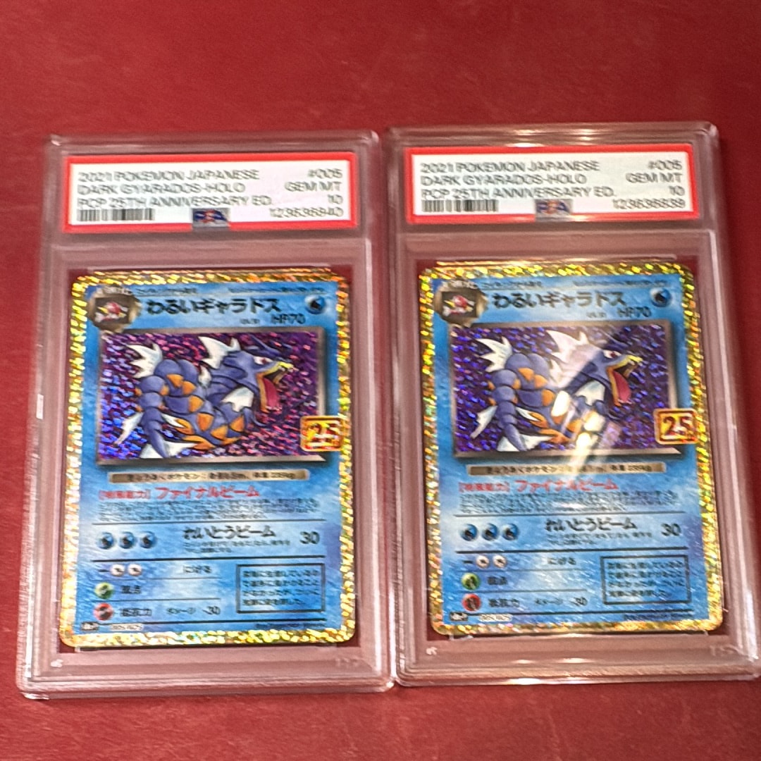 PSA 10 わるいギャラドス プロモカード 25th ANNIVERSARY PSA10鑑定済〕わるいギャラドス(25th)【P】{005/025}