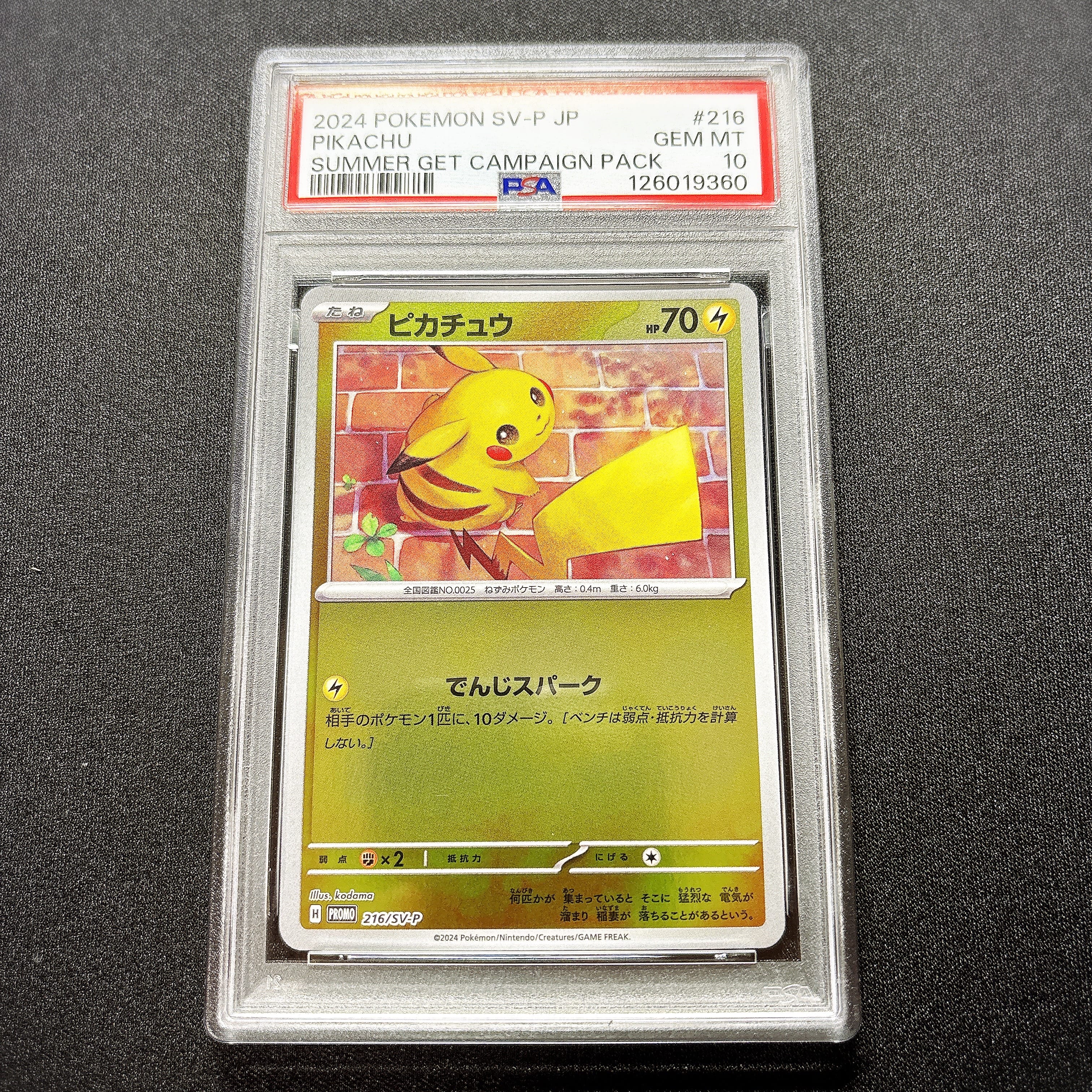 ピカチュウ P [SV-P 216](プロモカードパック「ポケカの夏がキタ!プロモカードGetキャンペーン!」)