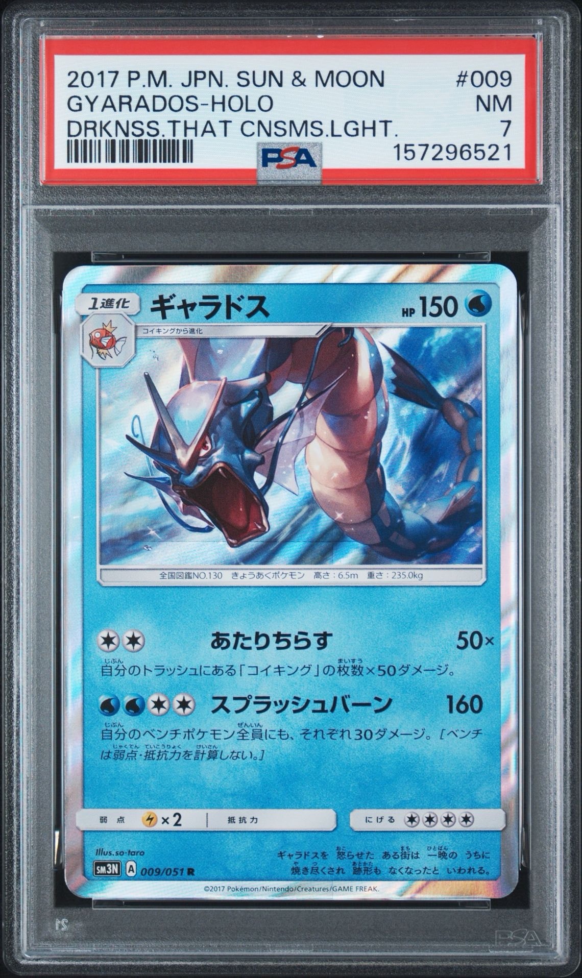 Gyarados R [SM3N 009/051](Expansion Pack "Darkness that Consumes Light")