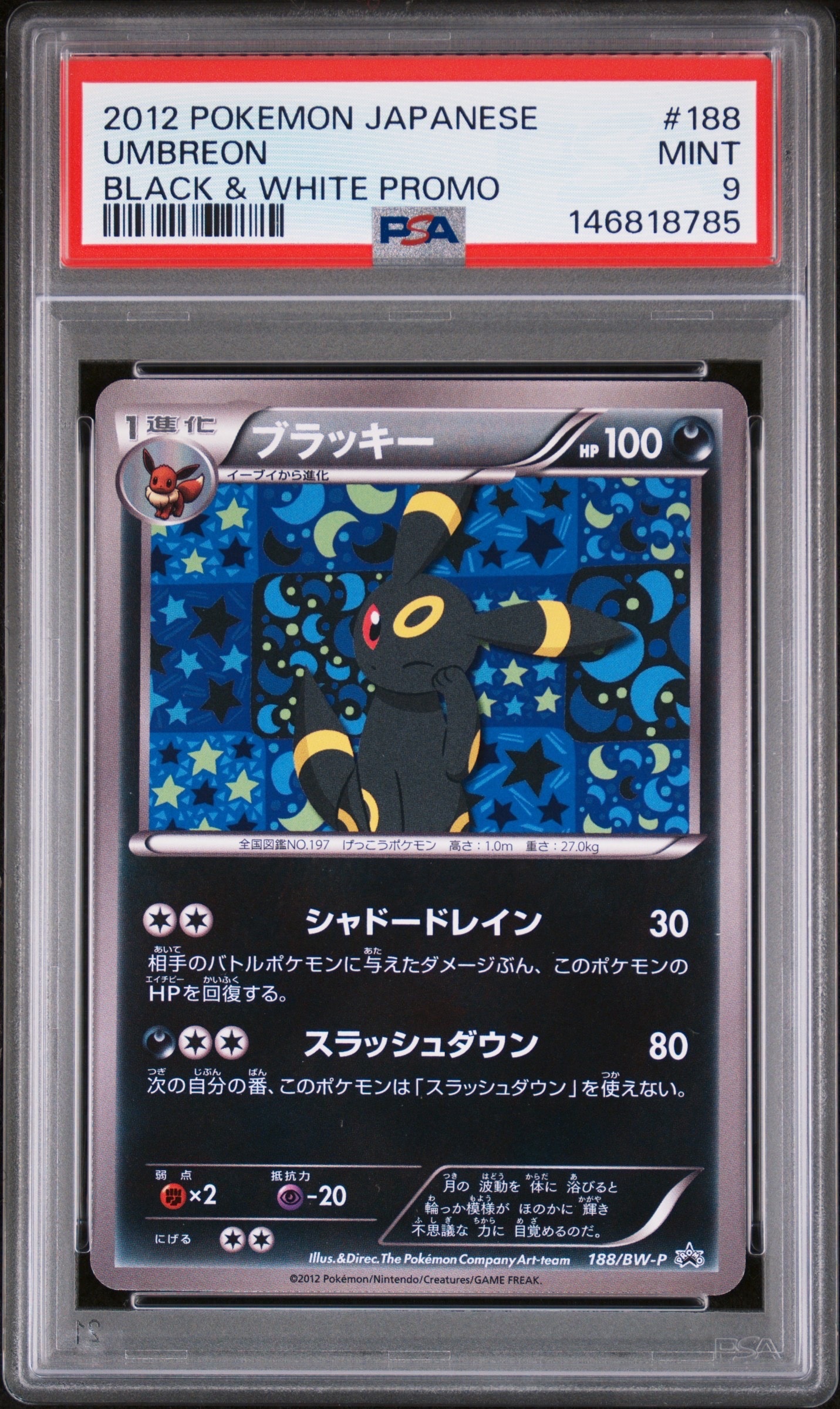 ブラッキー P [BW-P 188/BW-P](プロモーションカード「コレクション