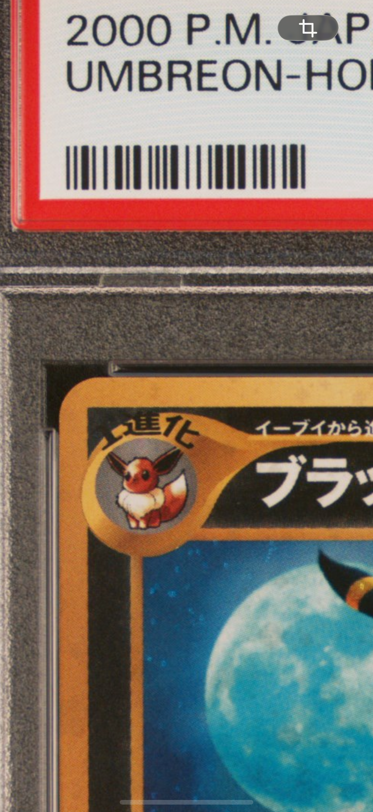 PSA10】ブラッキー ☆ : 旧裏 [neo2 No.197](ポケモンカード☆neo 拡張