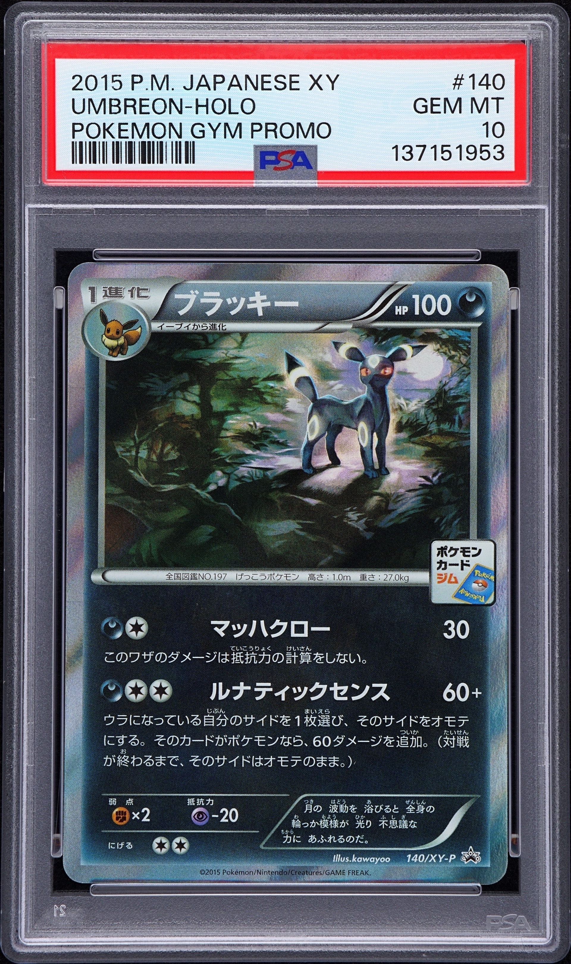 ブラッキー: プロモ[XY-P 140/XY-P](プロモーションカード「XY-P」)