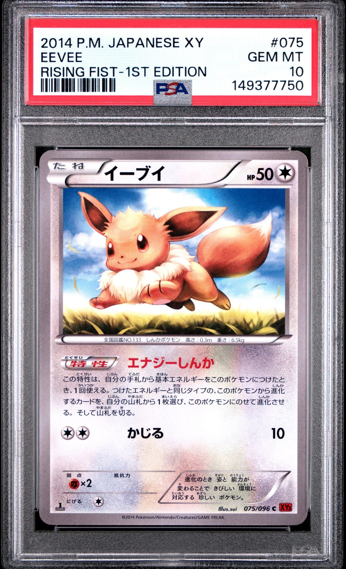 PSA10】カメックスex SAR[SV2a 202/165](強化拡張パック「ポケモン