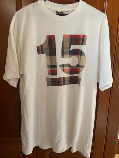 APE 15 ラブジェネチェックTEE サイズL