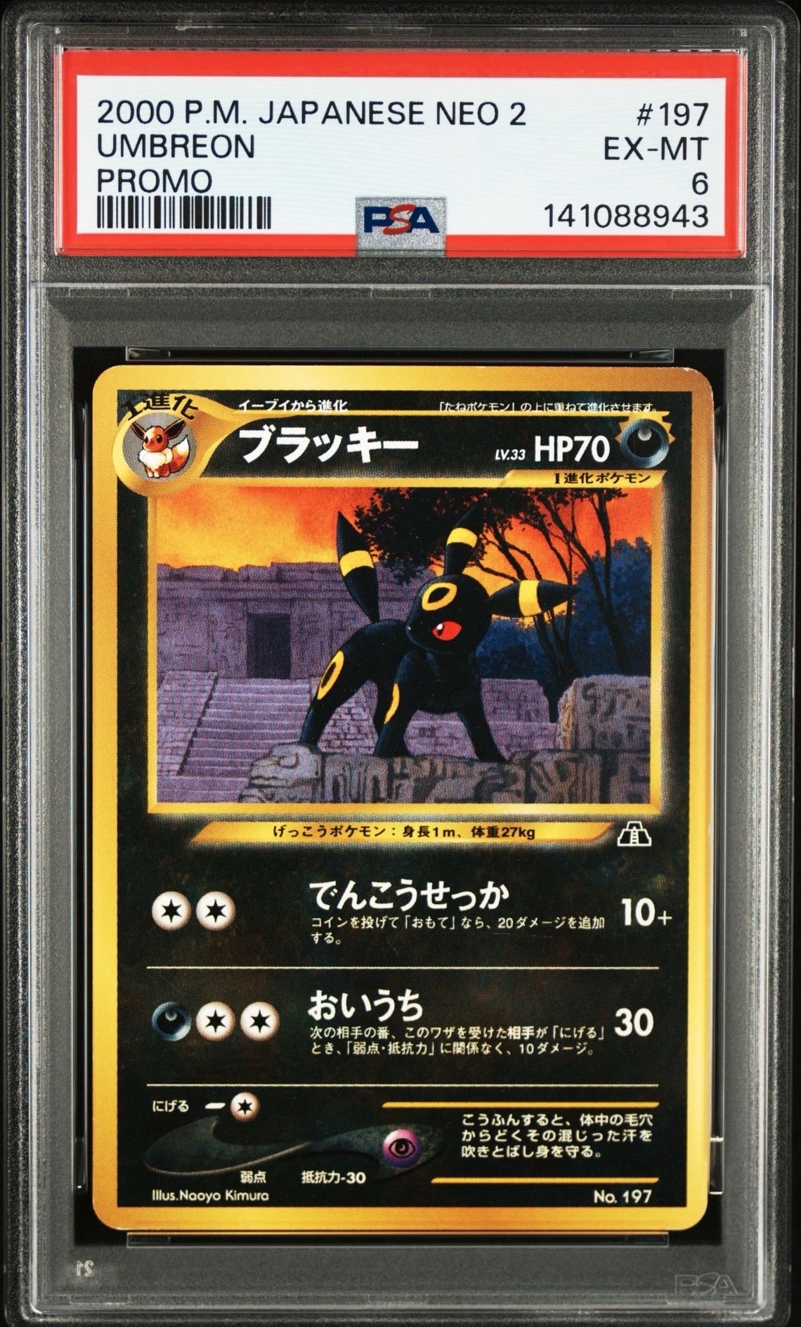 ブラッキープレミアムファイル2: 旧裏[neoP2 No.197](プレミアムファイル2)