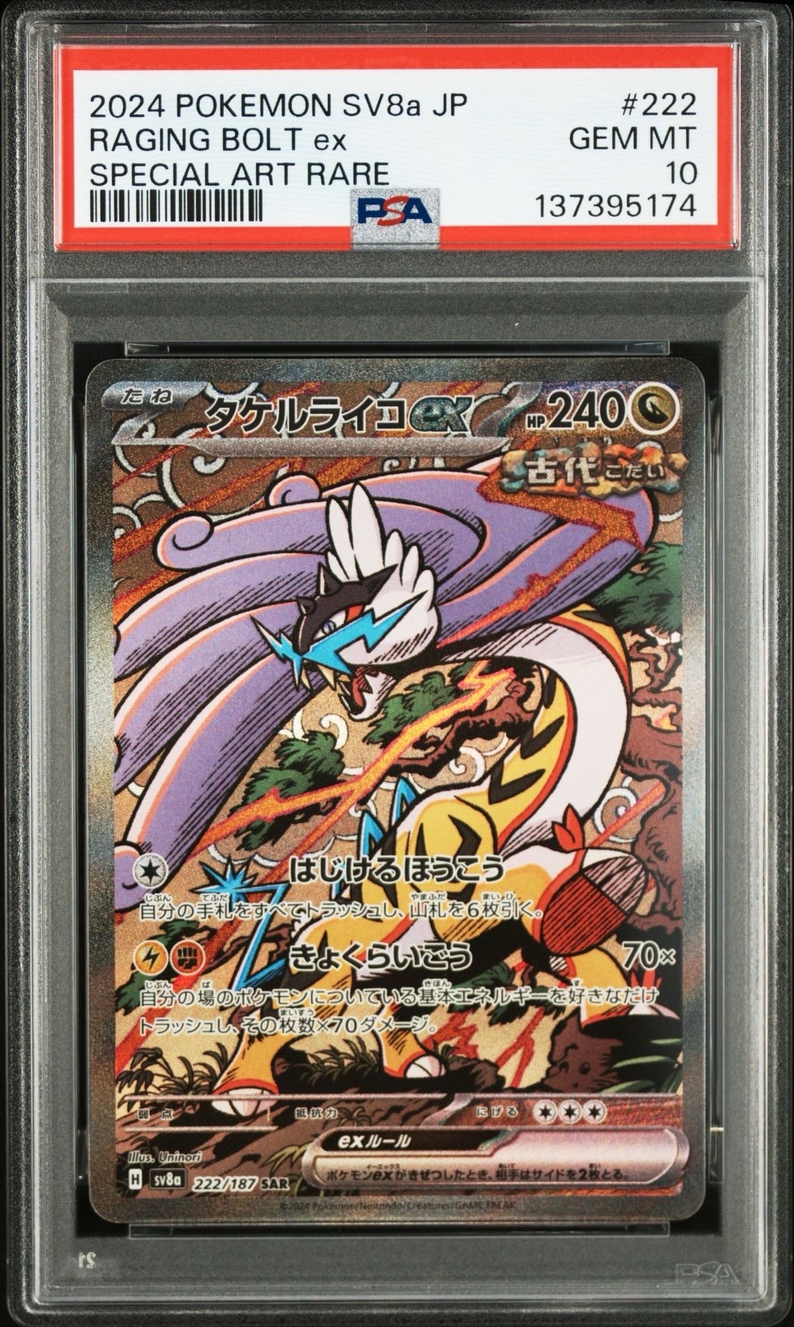 タケルライコex SAR [SV8a 222/187](ハイクラスパック「テラスタル