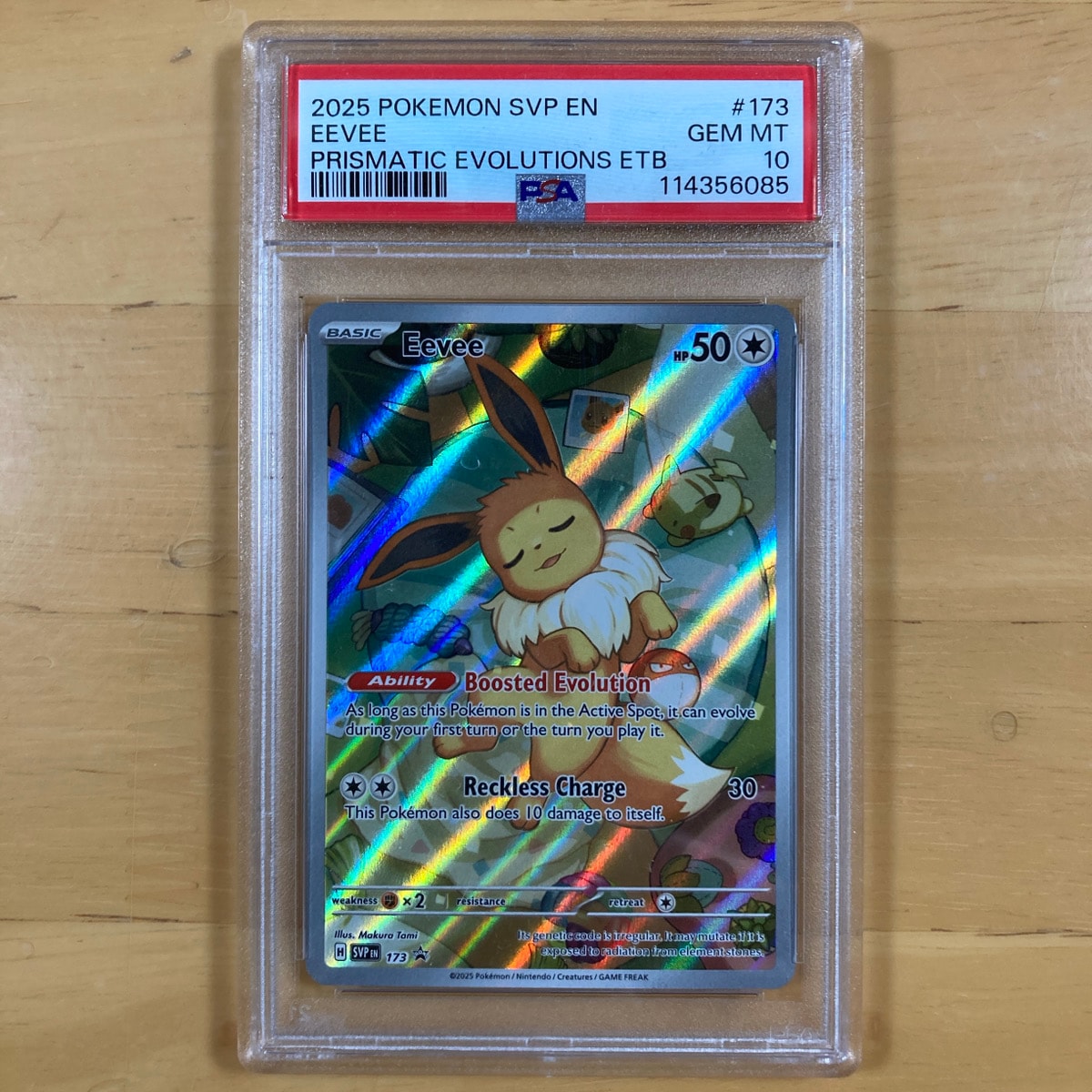 イーブイ P [SVP EN 173]【英語版】(スカーレット&バイオレット「プリズマティックエボリューションズ エリートトレーナボックス」)