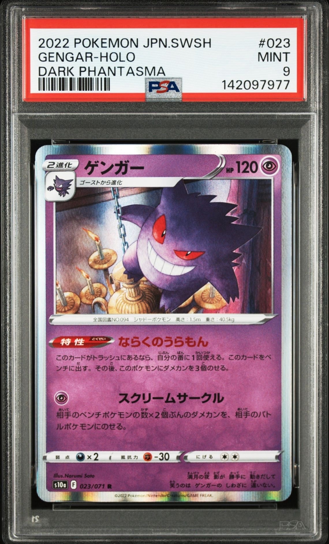 PSA10】メガニウム ☆ : 旧裏 [neo1 No.154](ポケモンカード☆neo 拡張