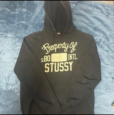 【極美品】STUSSY ステューシー Property Of パーカーMサイ