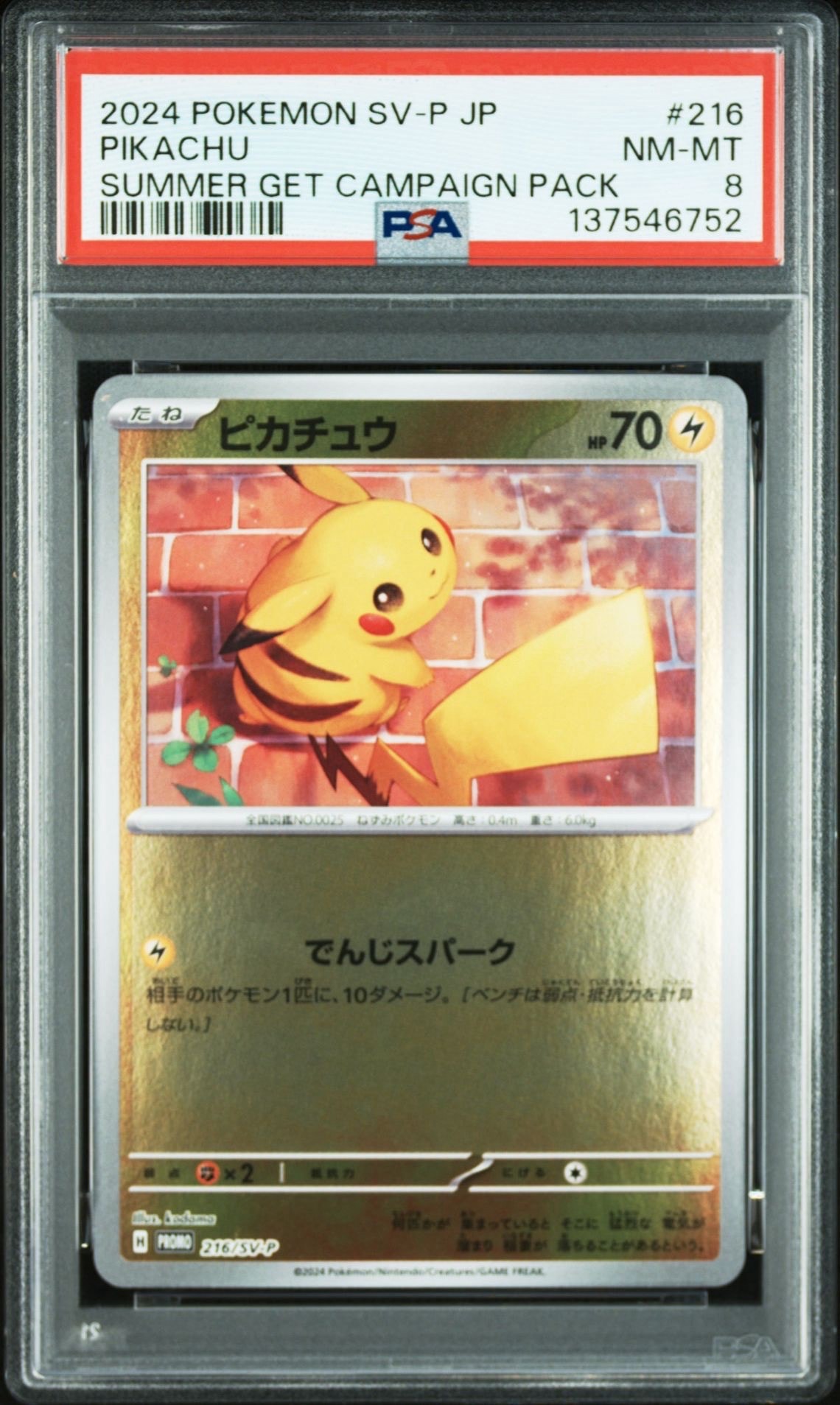 PSA8以下】ピカチュウ P [SV-P 216](プロモカードパック「ポケカの夏が