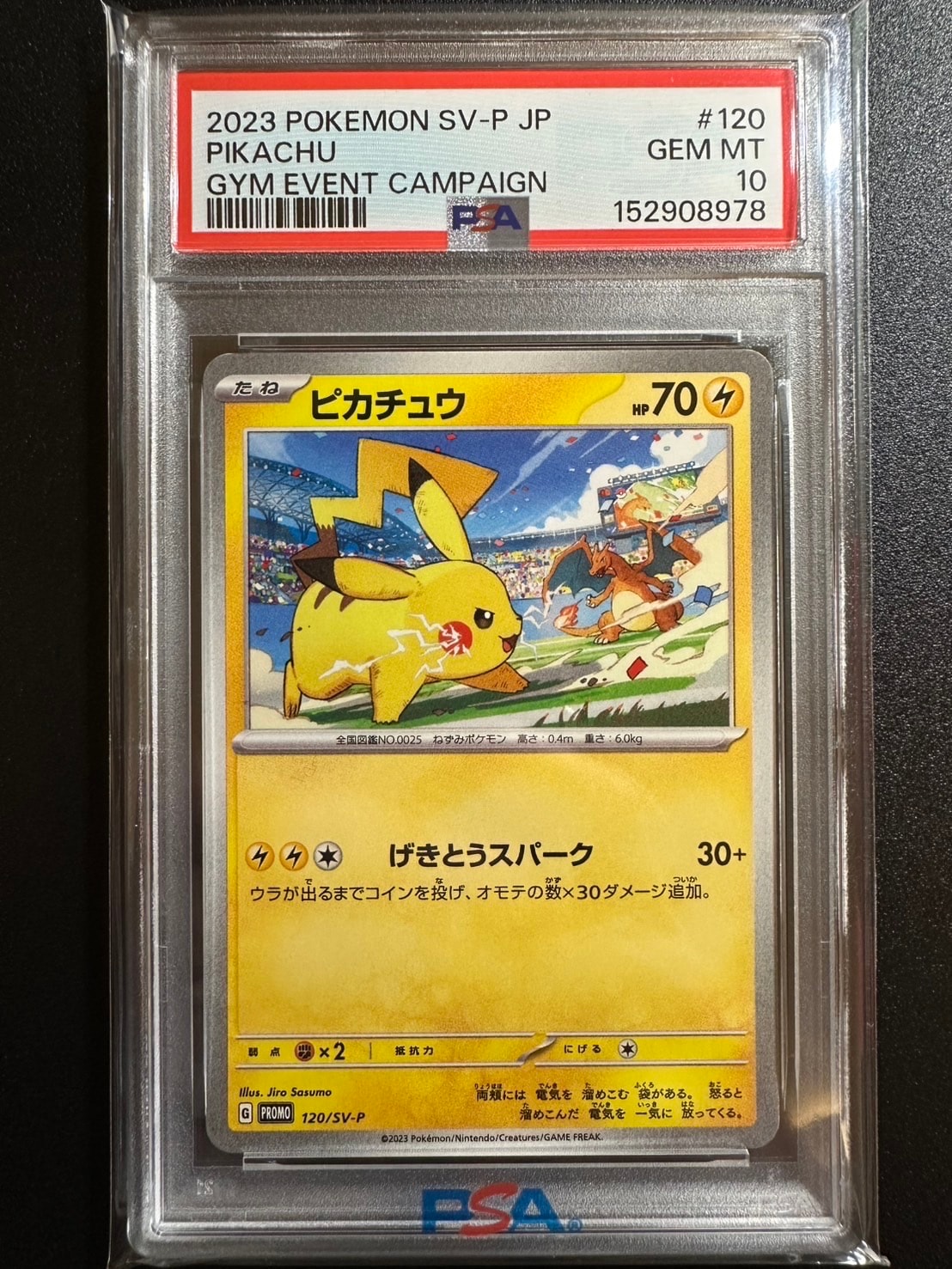 ピカチュウプロモ 120/BW-P Pikachu - 120/BW-P - BW-P Promotional cards - Pokemon Japan