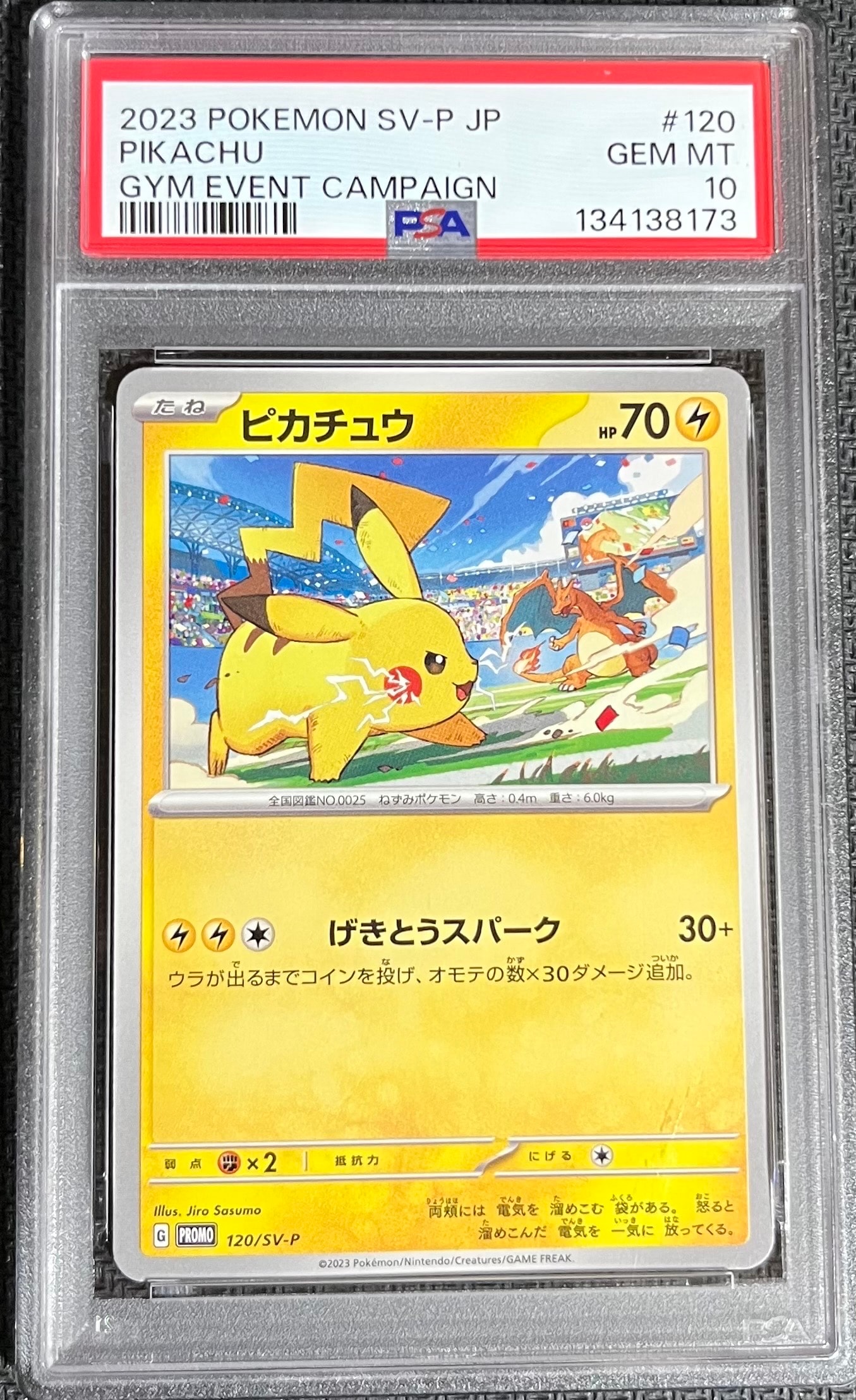ピカチュウ PROMO BW-Pプロモカード 120/BW-P ピカチュウ PROMO BW-Pプロモカード 120/BW-P - メルカリ