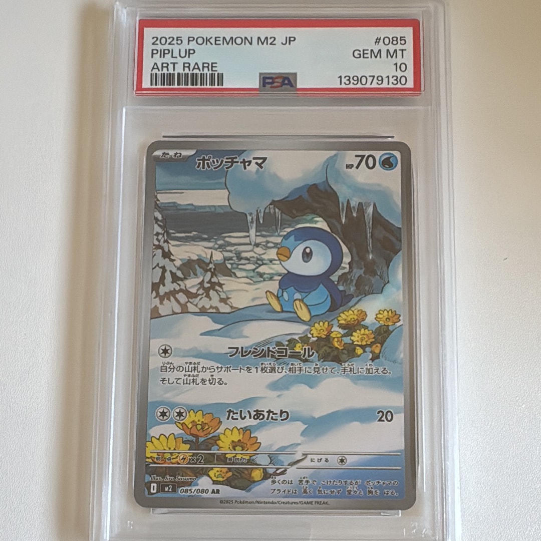 ポケパークのゴンベ [PCG 008/009](ポケパークプレミアムファイル